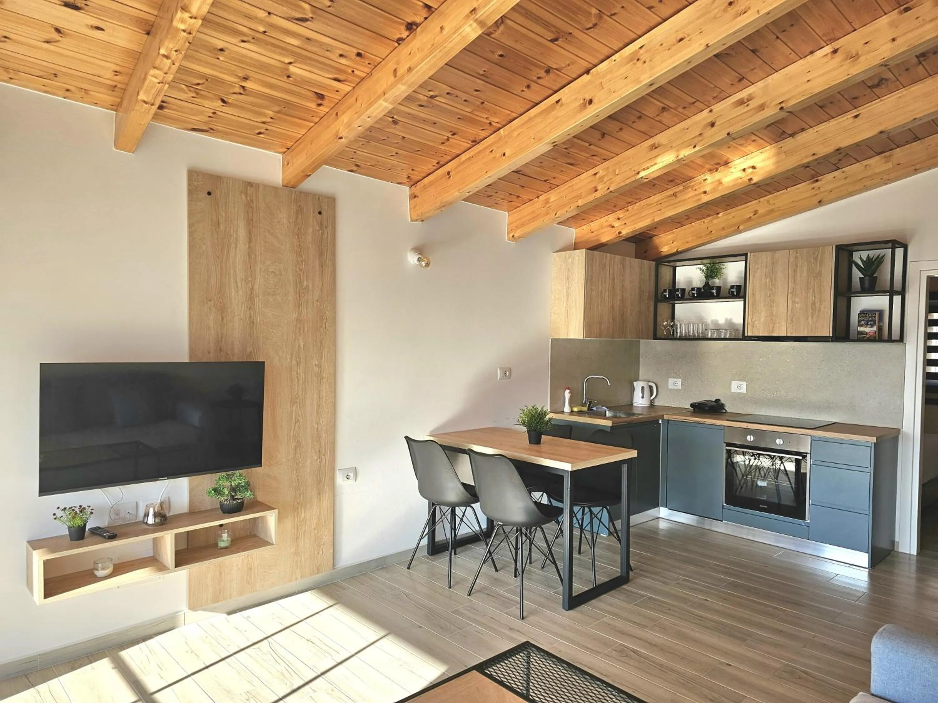 TV and multimedia in Villa Arta Apartments