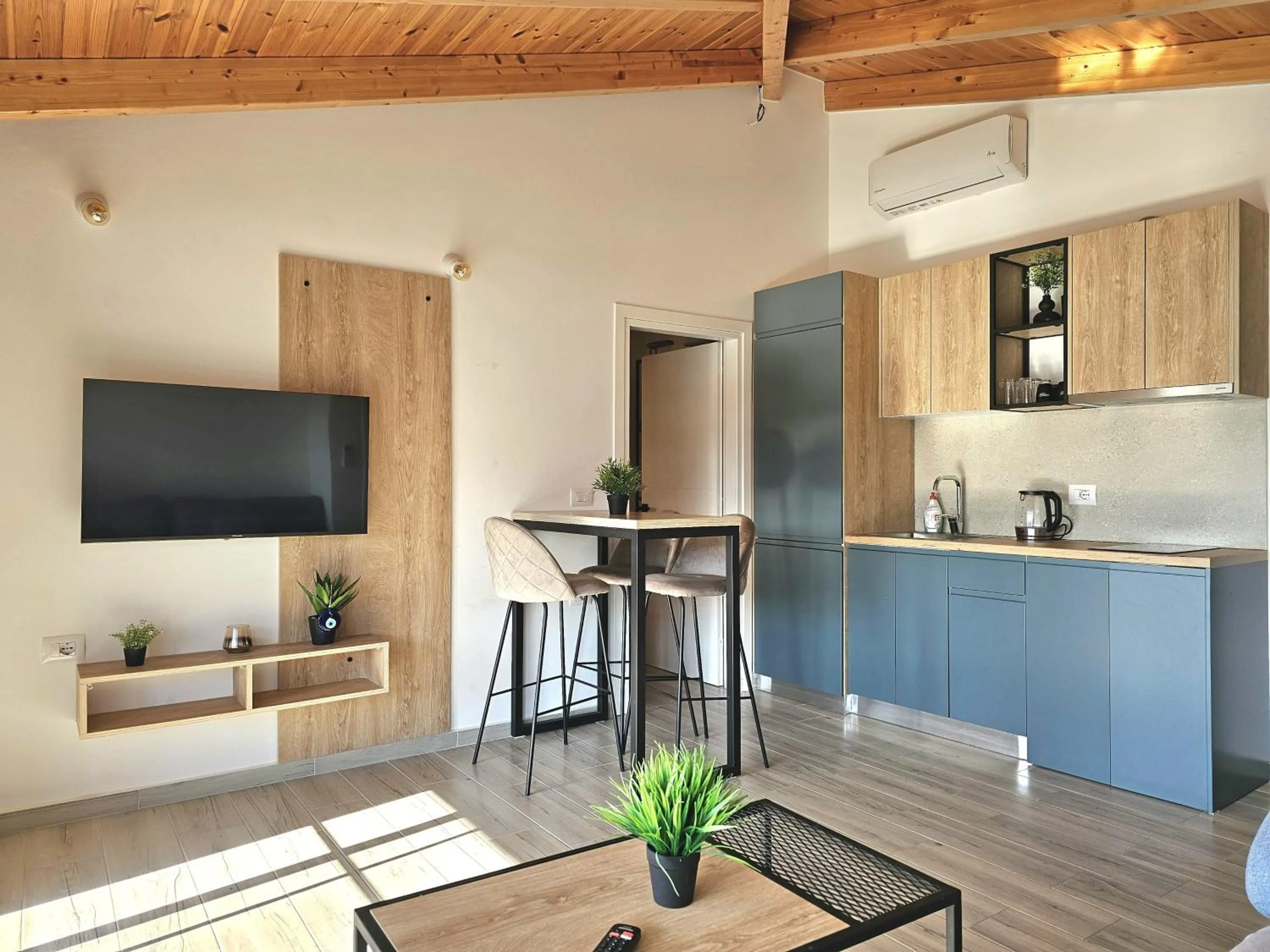 TV and multimedia in Villa Arta Apartments