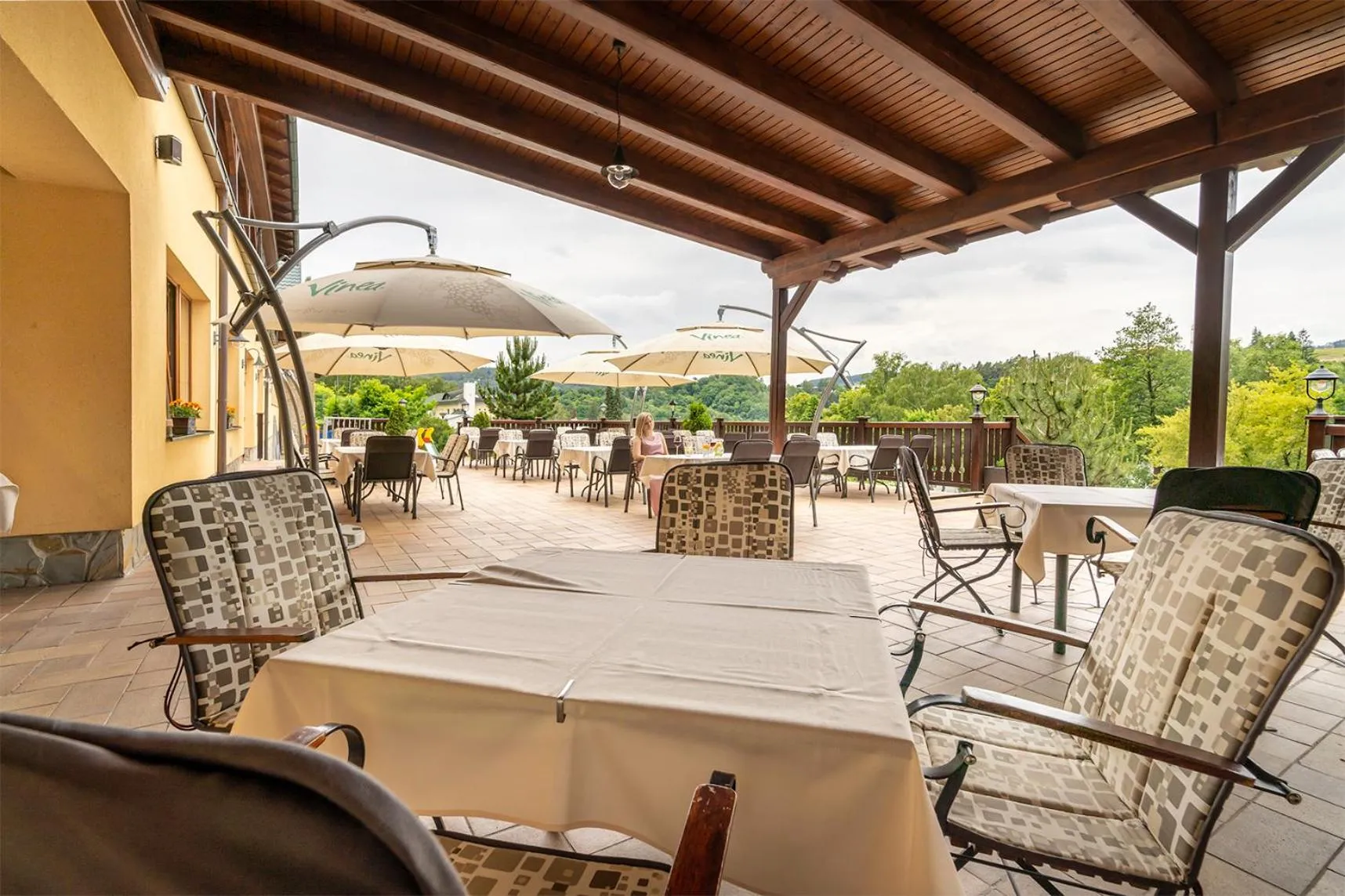 Balcony/Terrace in Hotel Vyhlídka