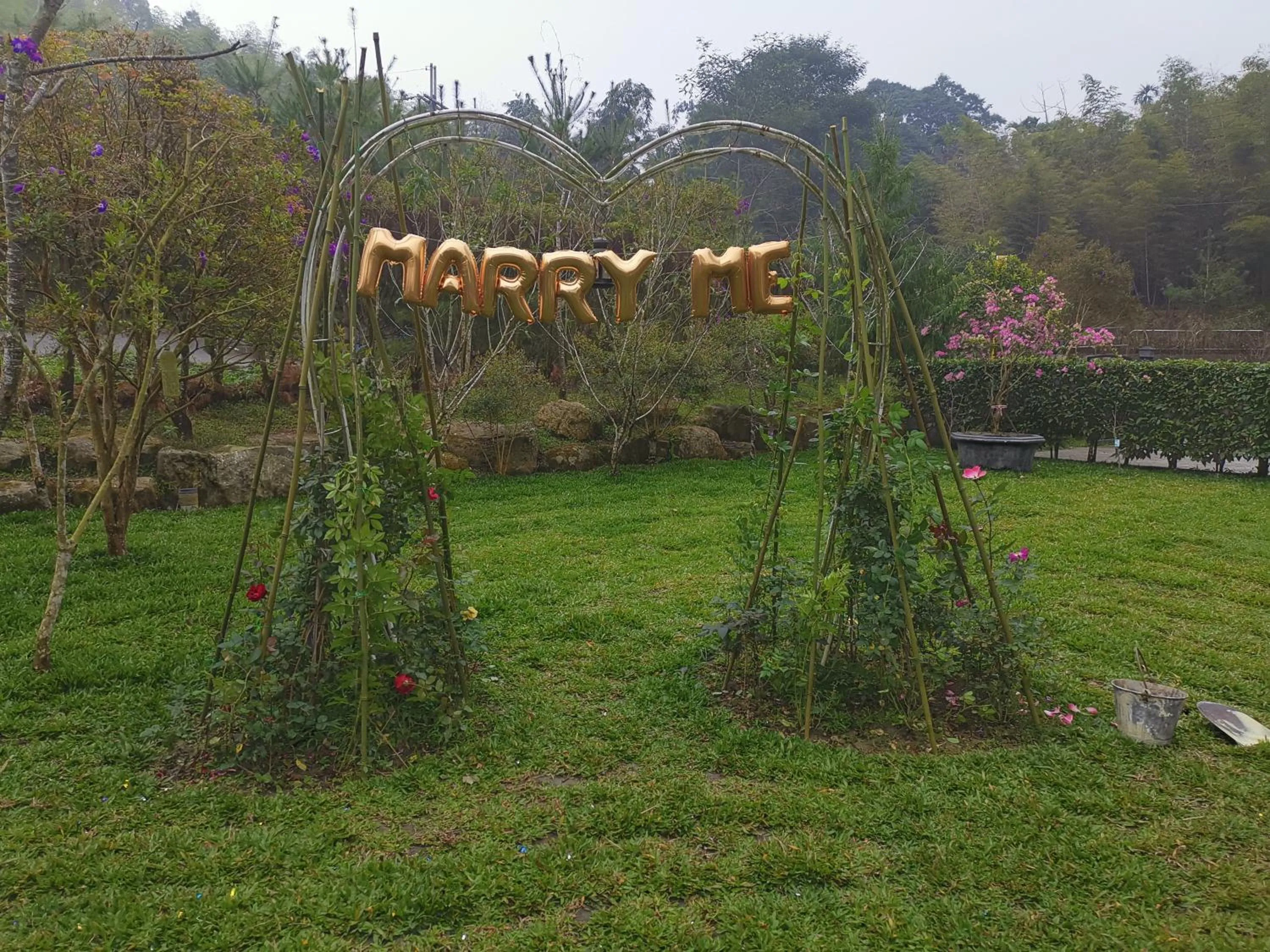 Garden in Sitou Peach Villa B&B