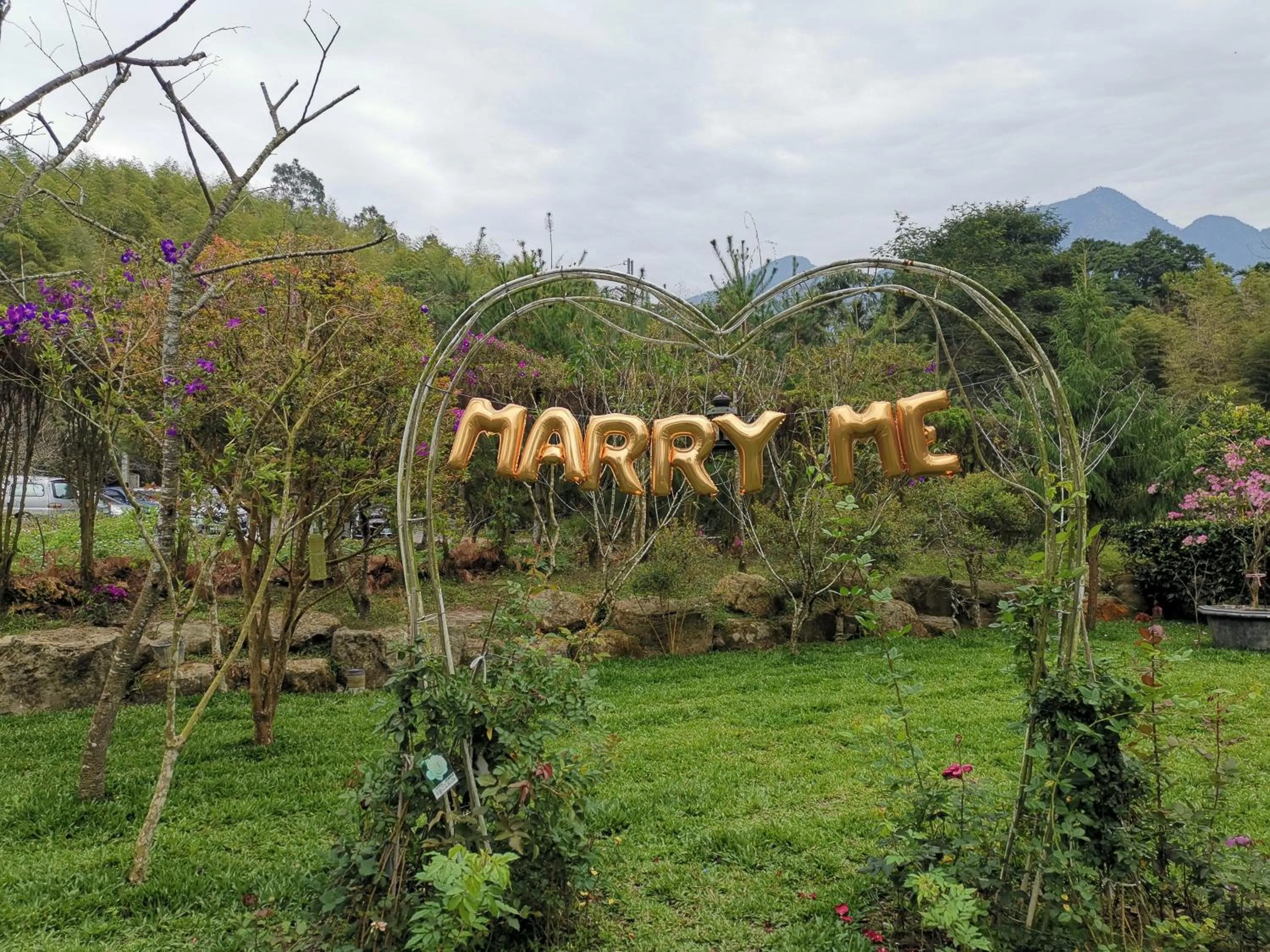 Garden view in Sitou Peach Villa B&B