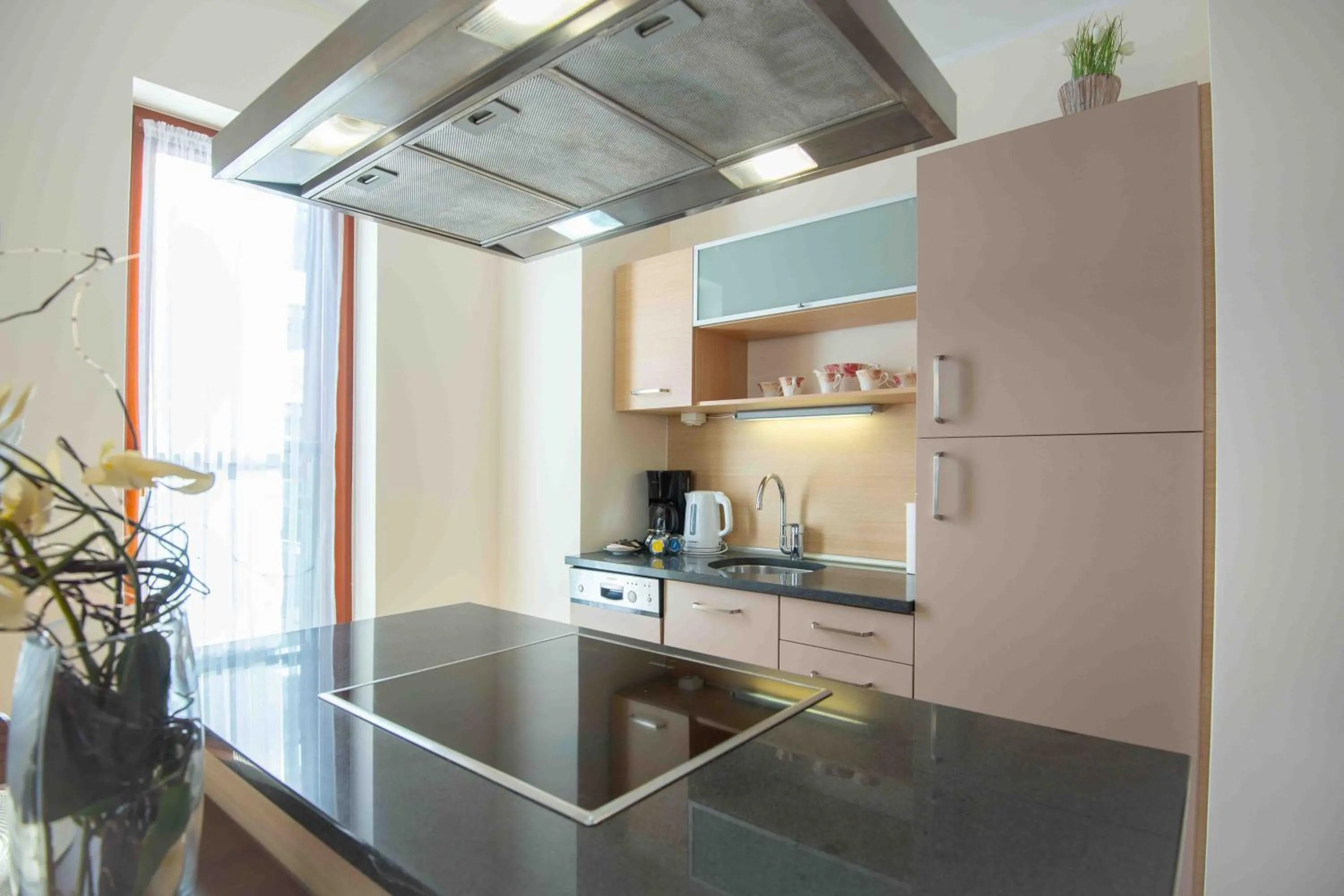 Kitchen or kitchenette in Apartamenty Na Wyspie - Baltic Park - Apartamenty z sypialnią i parkingiem - ul Uzdrowiskowa 24-34