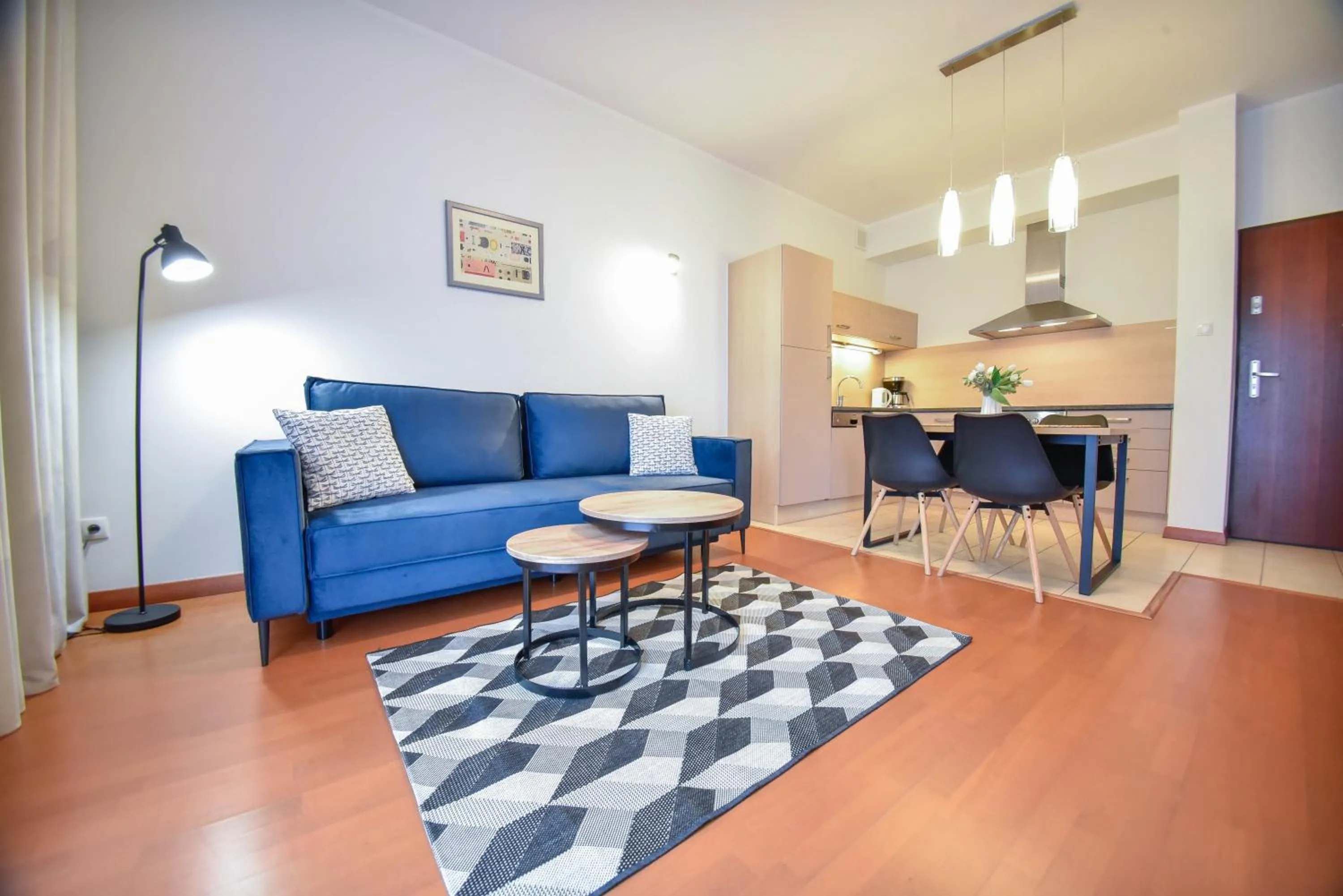 Living room in Apartamenty Na Wyspie - Baltic Park - Apartamenty z sypialnią i parkingiem - ul Uzdrowiskowa 24-34