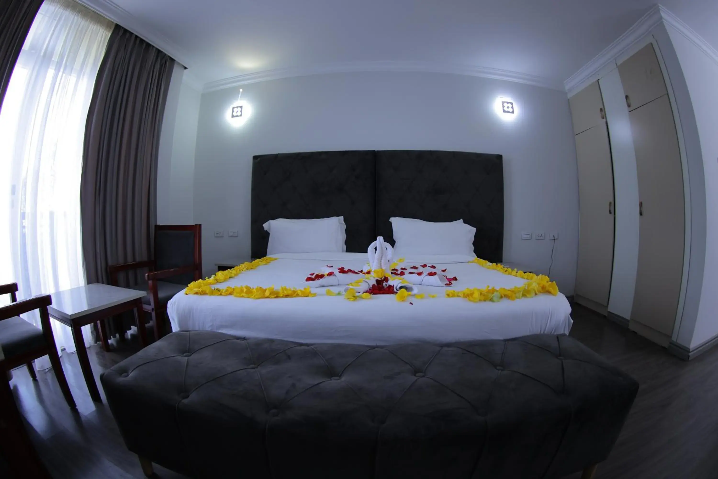 Single Room in Trinity Hotel Single Room in Trinity Hotel