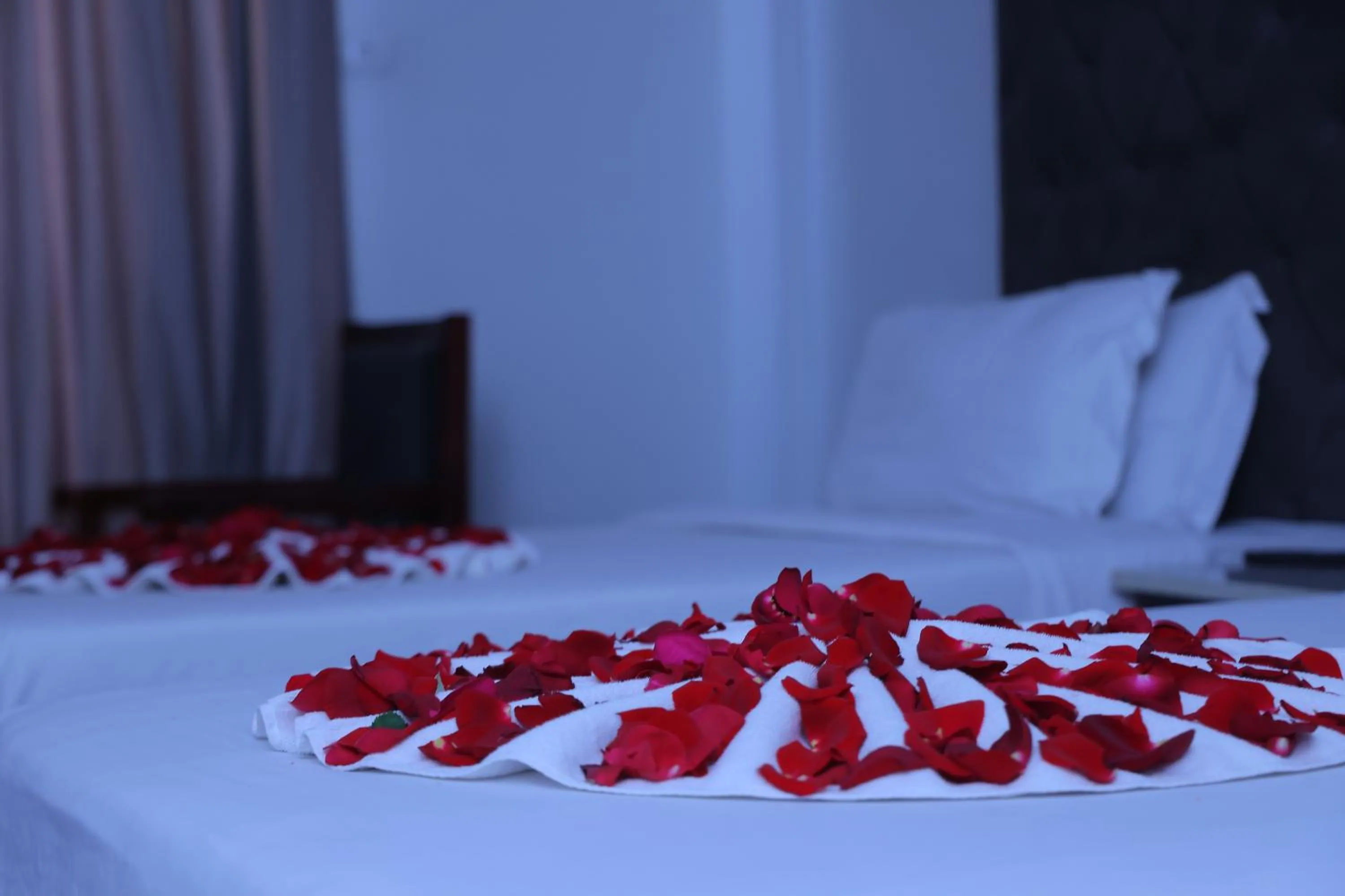 Bed in Trinity Hotel