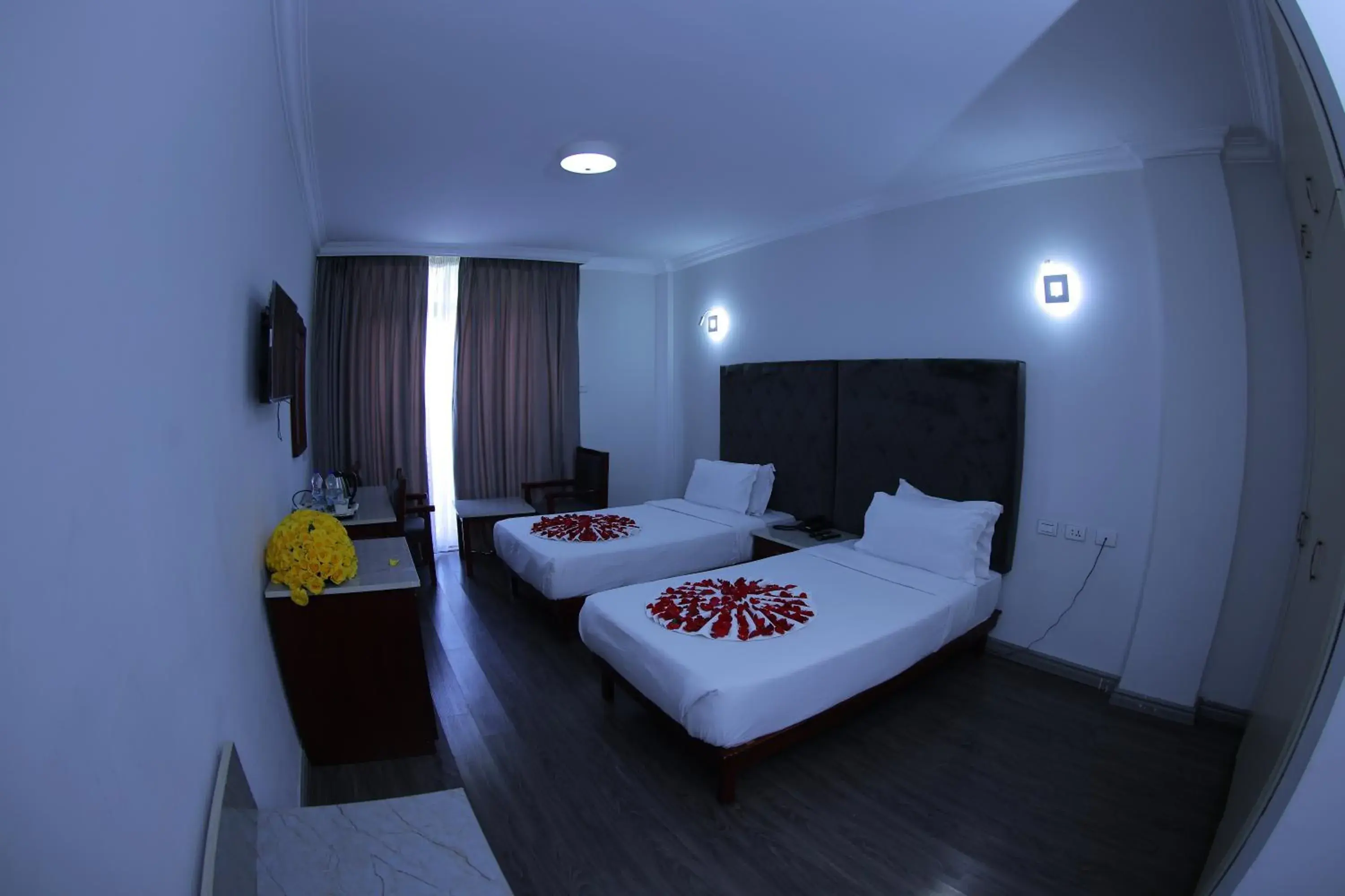 Twin Room with Terrace in Trinity Hotel Twin Room with Terrace in Trinity Hotel