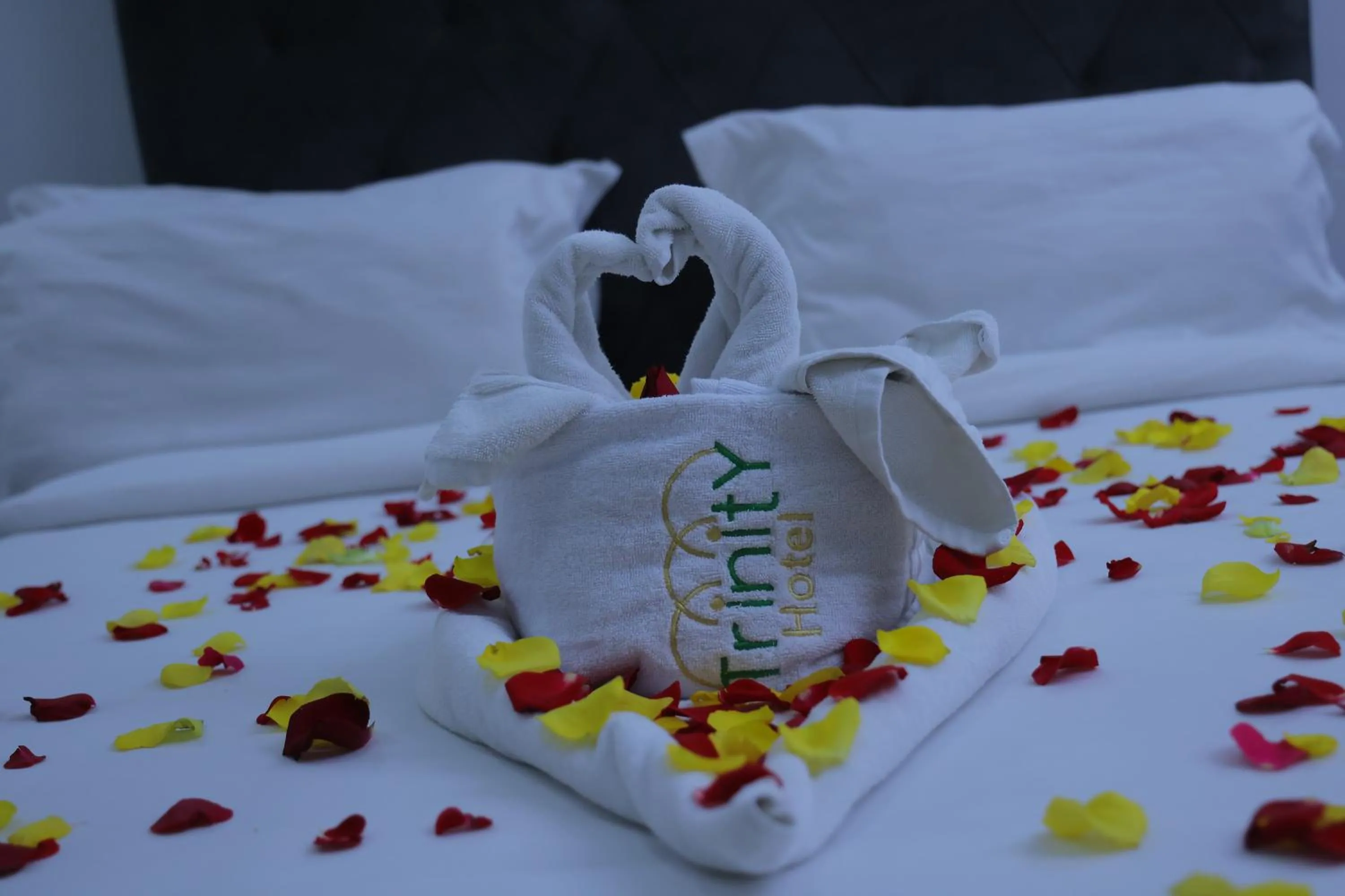 Property building, Bed in Trinity Hotel