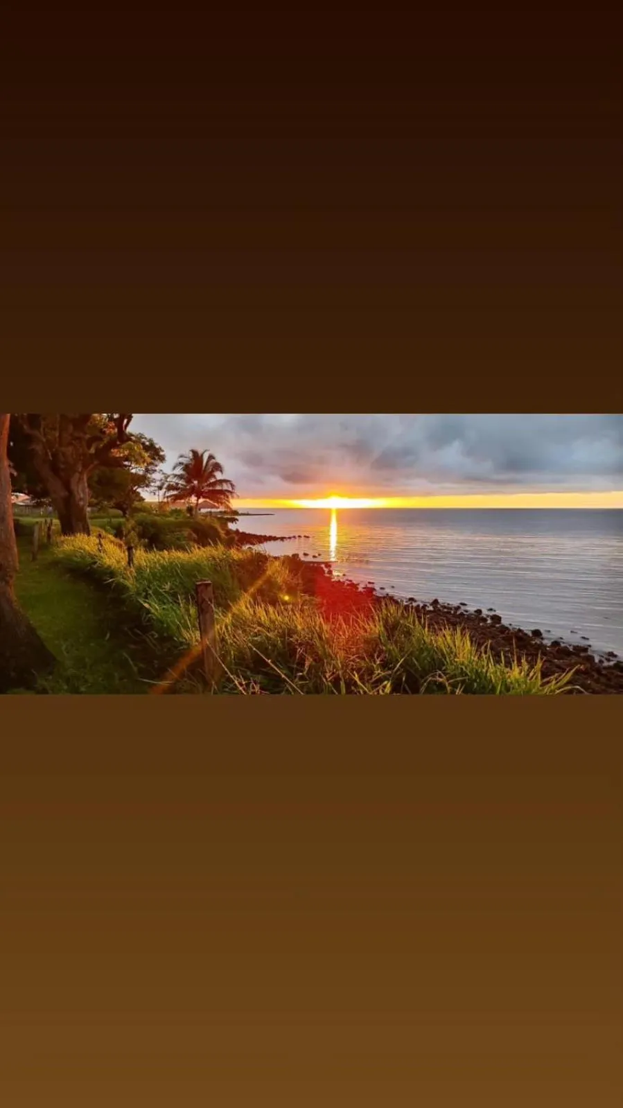 Natural landscape in Pousada Bosque dos Aruãs