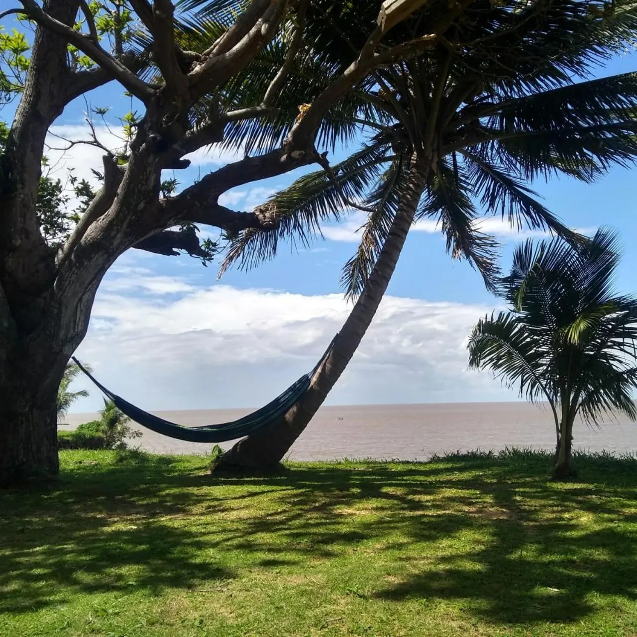 Natural landscape in Pousada Bosque dos Aruãs