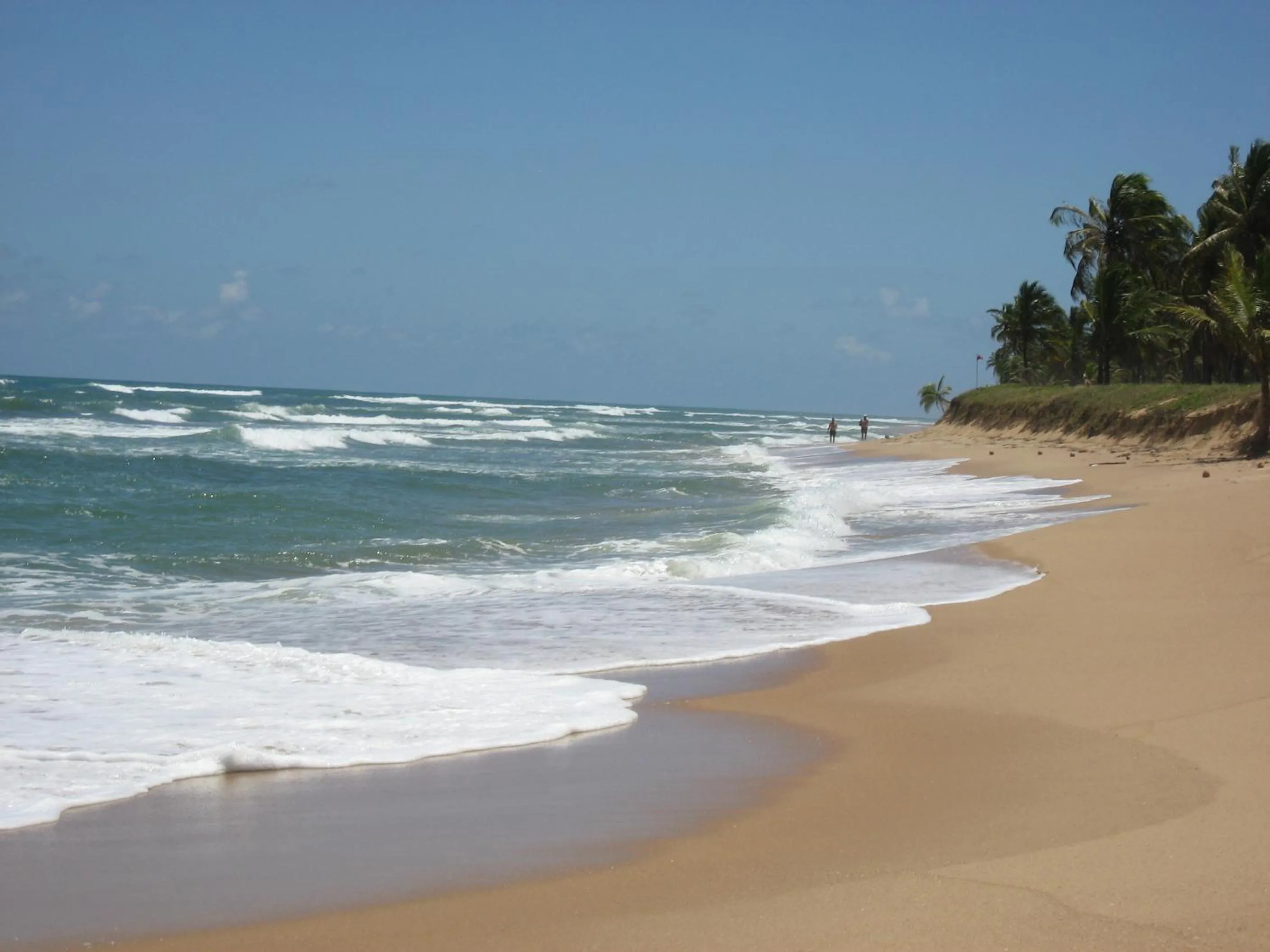 Paribahia