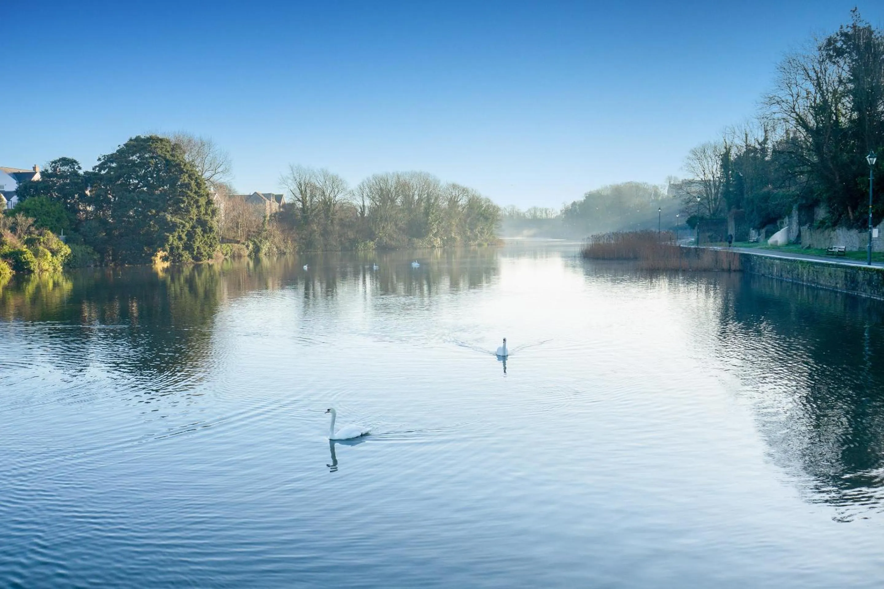 Natural landscape in OYO Lamphey Hall