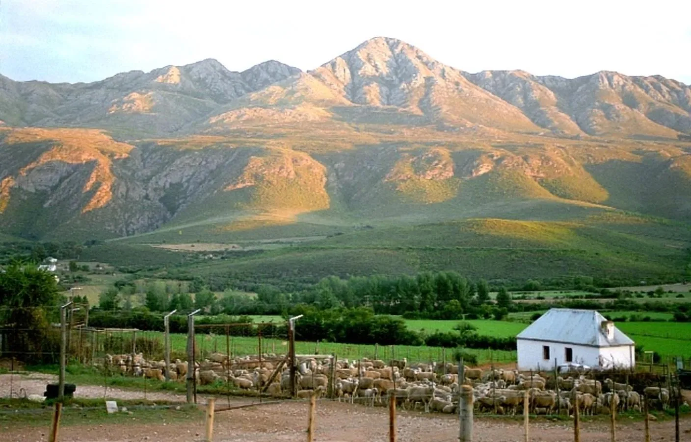 Natural landscape in Swartberg Country Manor