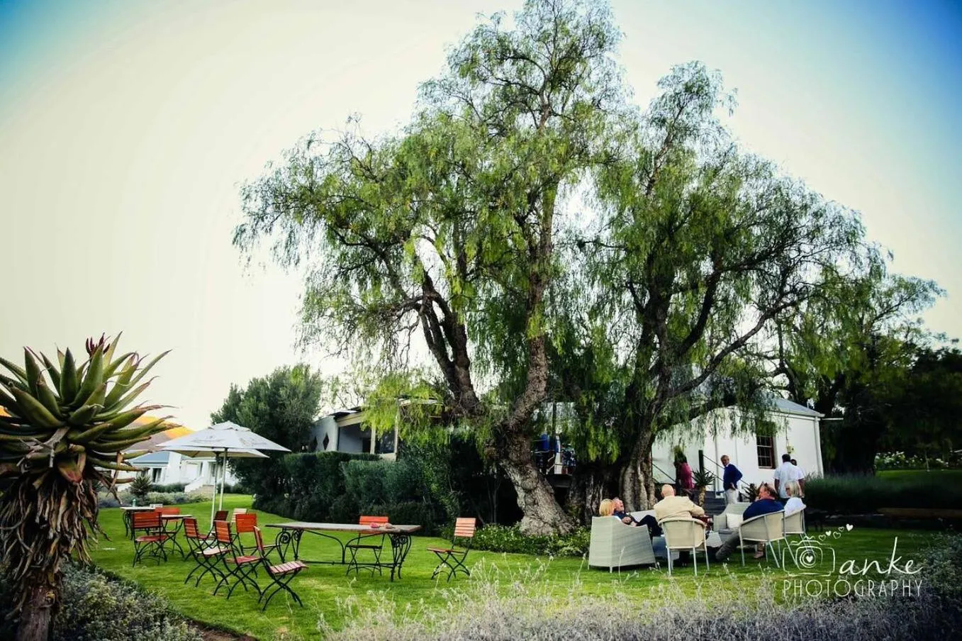 Restaurant/places to eat in Swartberg Country Manor