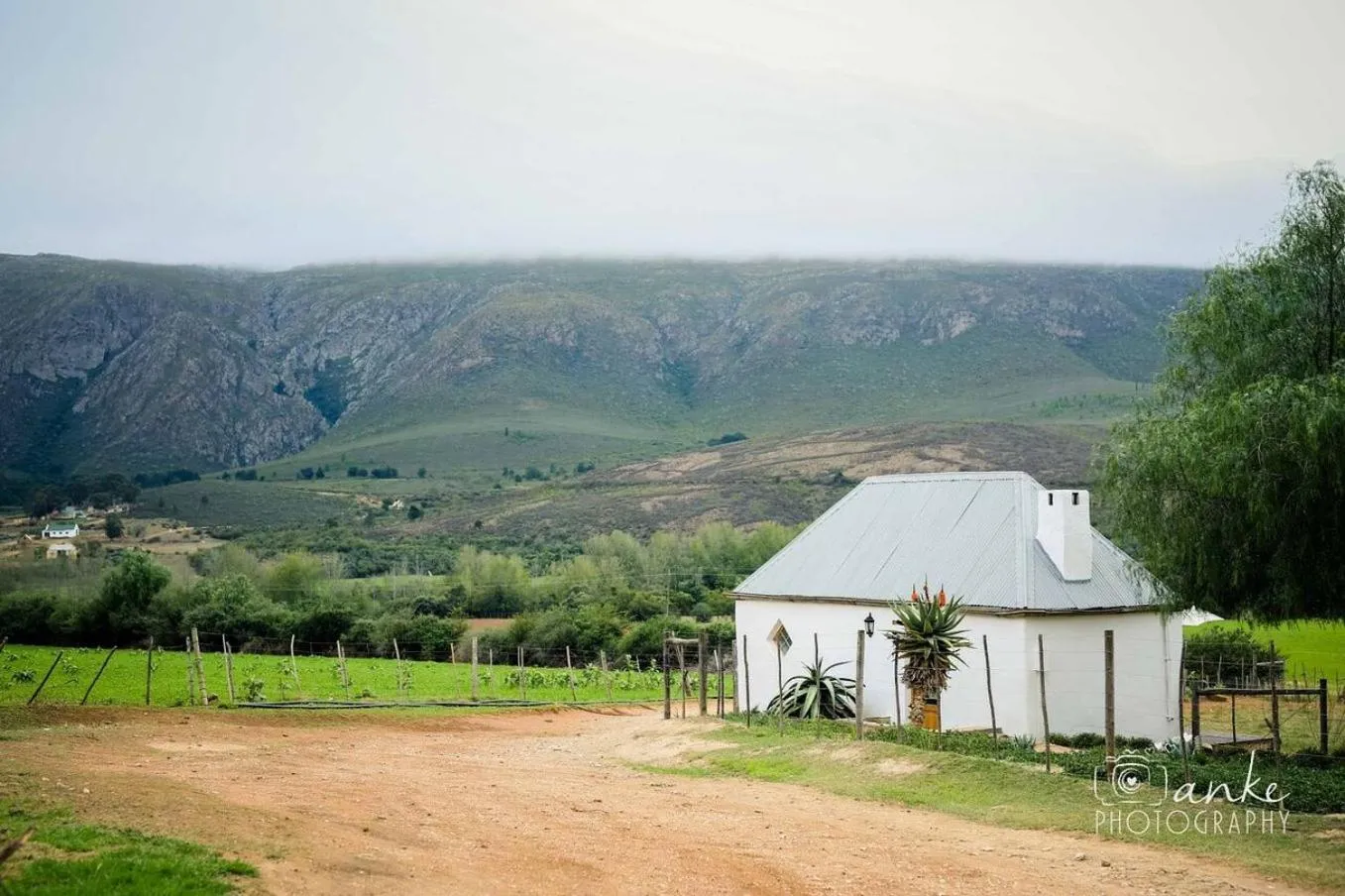Natural landscape in Swartberg Country Manor