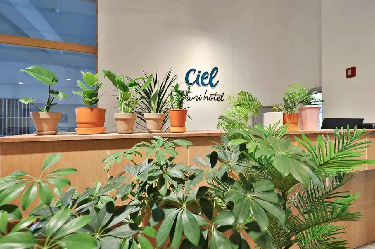 Ciel mini hotel Ciel mini hotel