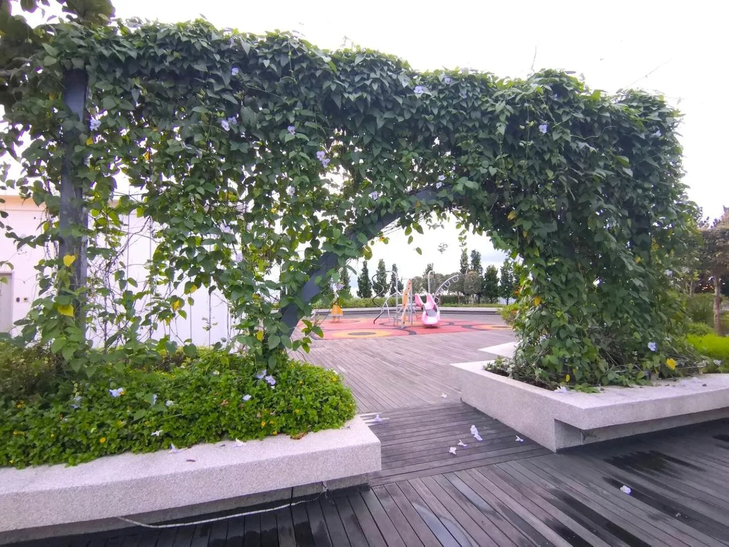 Garden in Sutera Avenue Kota Kinabalu