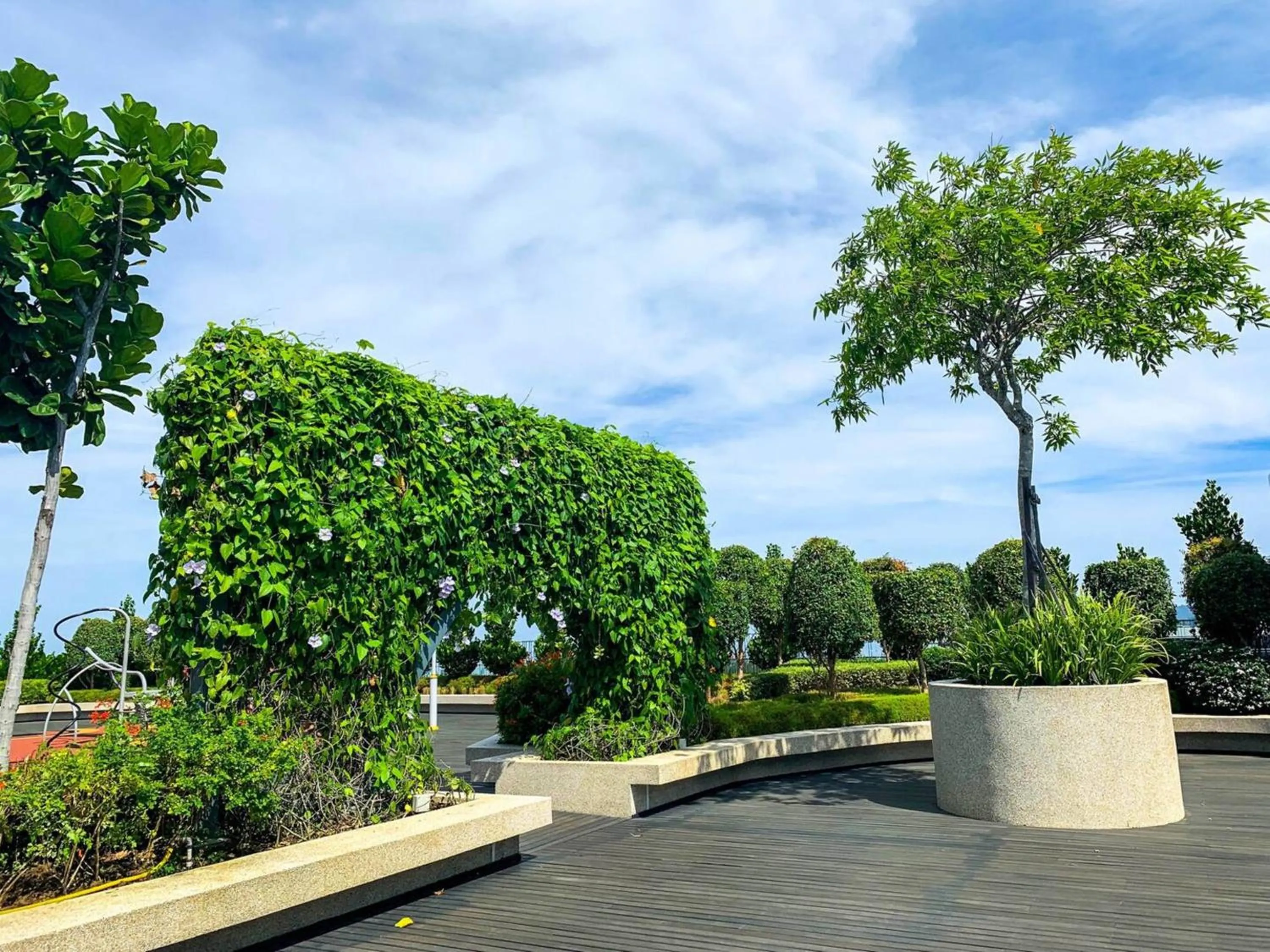 Garden in Sutera Avenue Kota Kinabalu