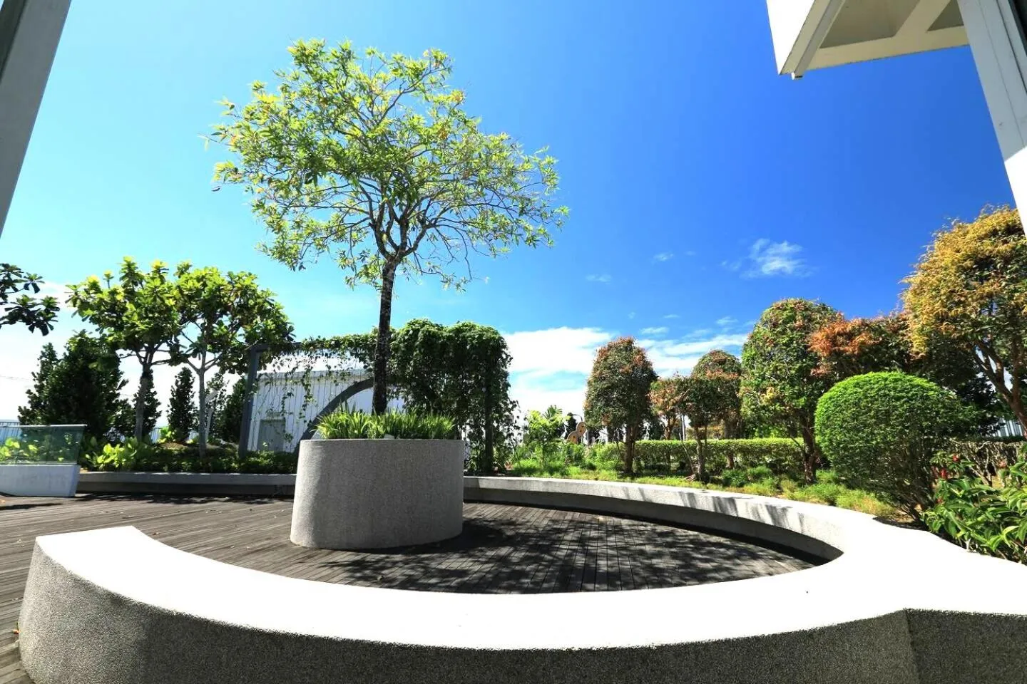 Garden in Sutera Avenue Kota Kinabalu