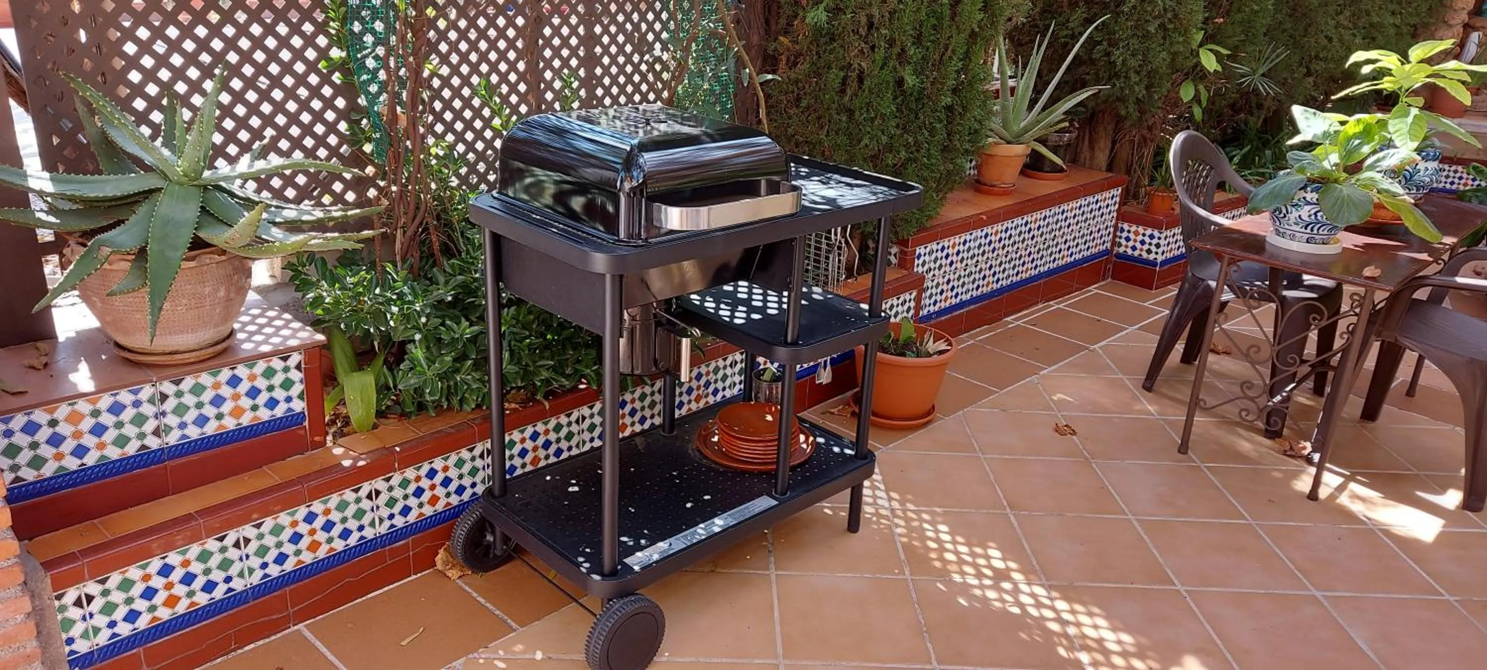 BBQ facilities in Apartamentos Turísticos Cúllar Vega