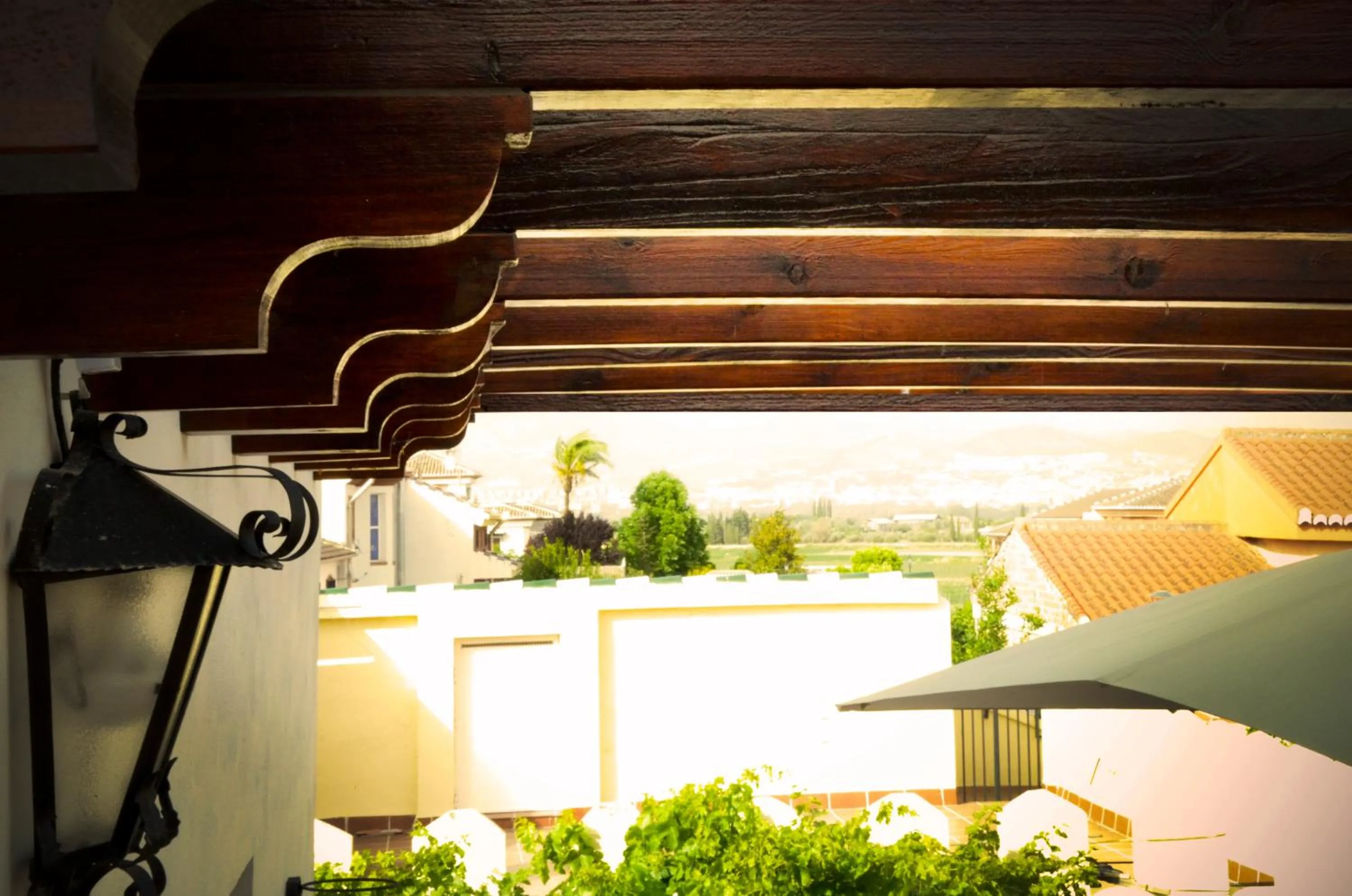 Balcony/Terrace in Apartamentos Turísticos Cúllar Vega