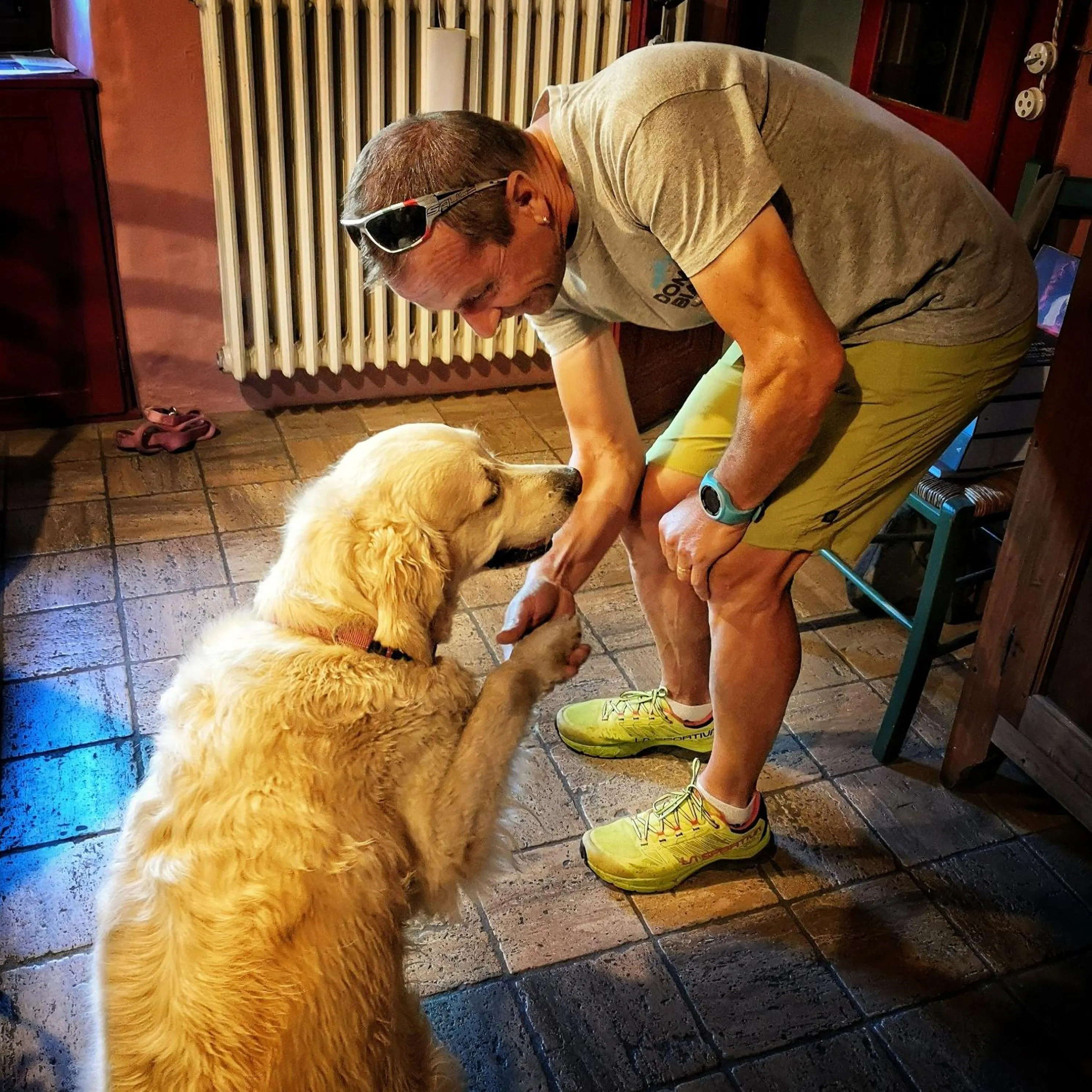 Pets in B&B Dove Comincia la Bella Italia