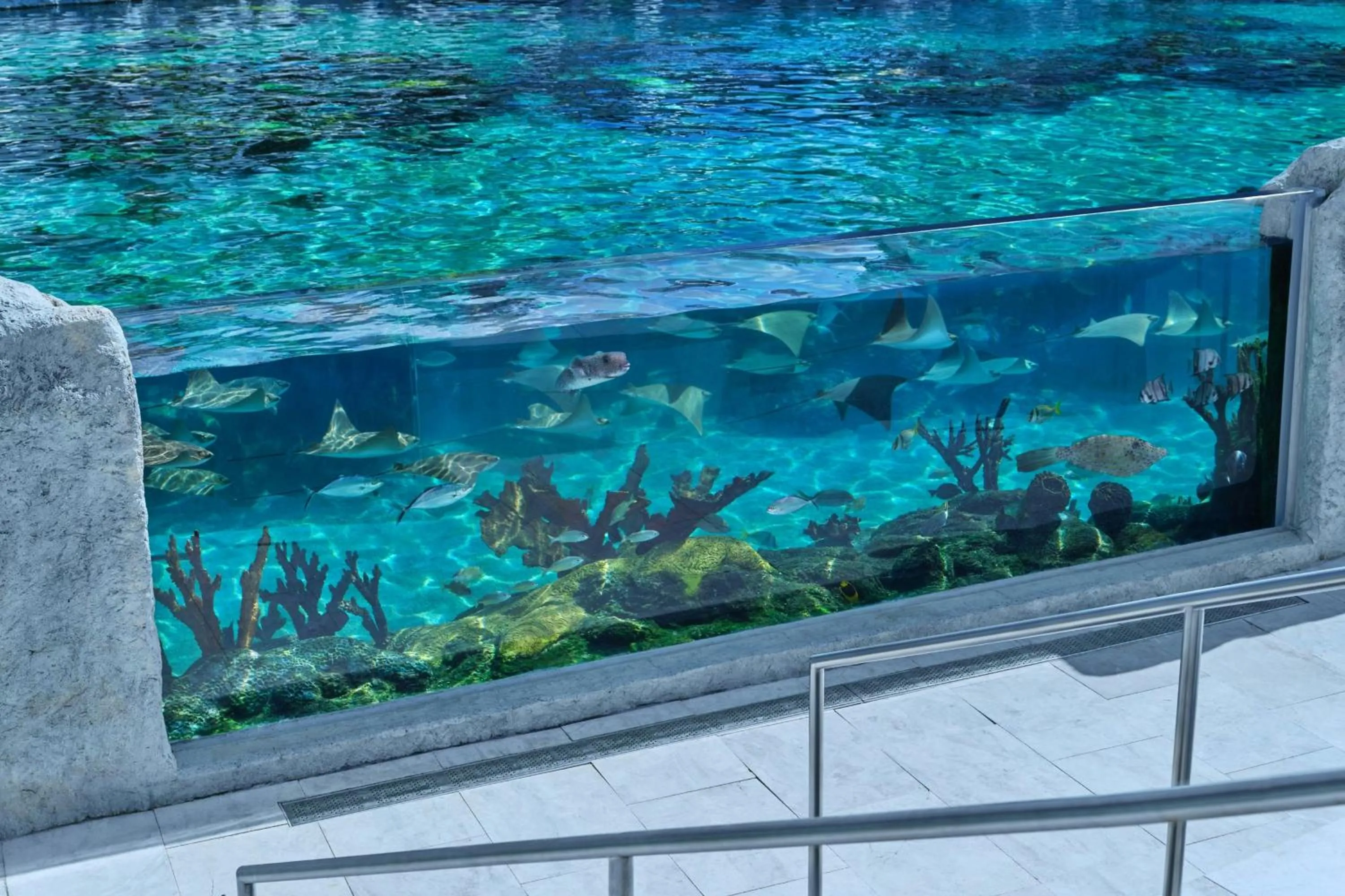 Other in The St. Regis Longboat Key Resort