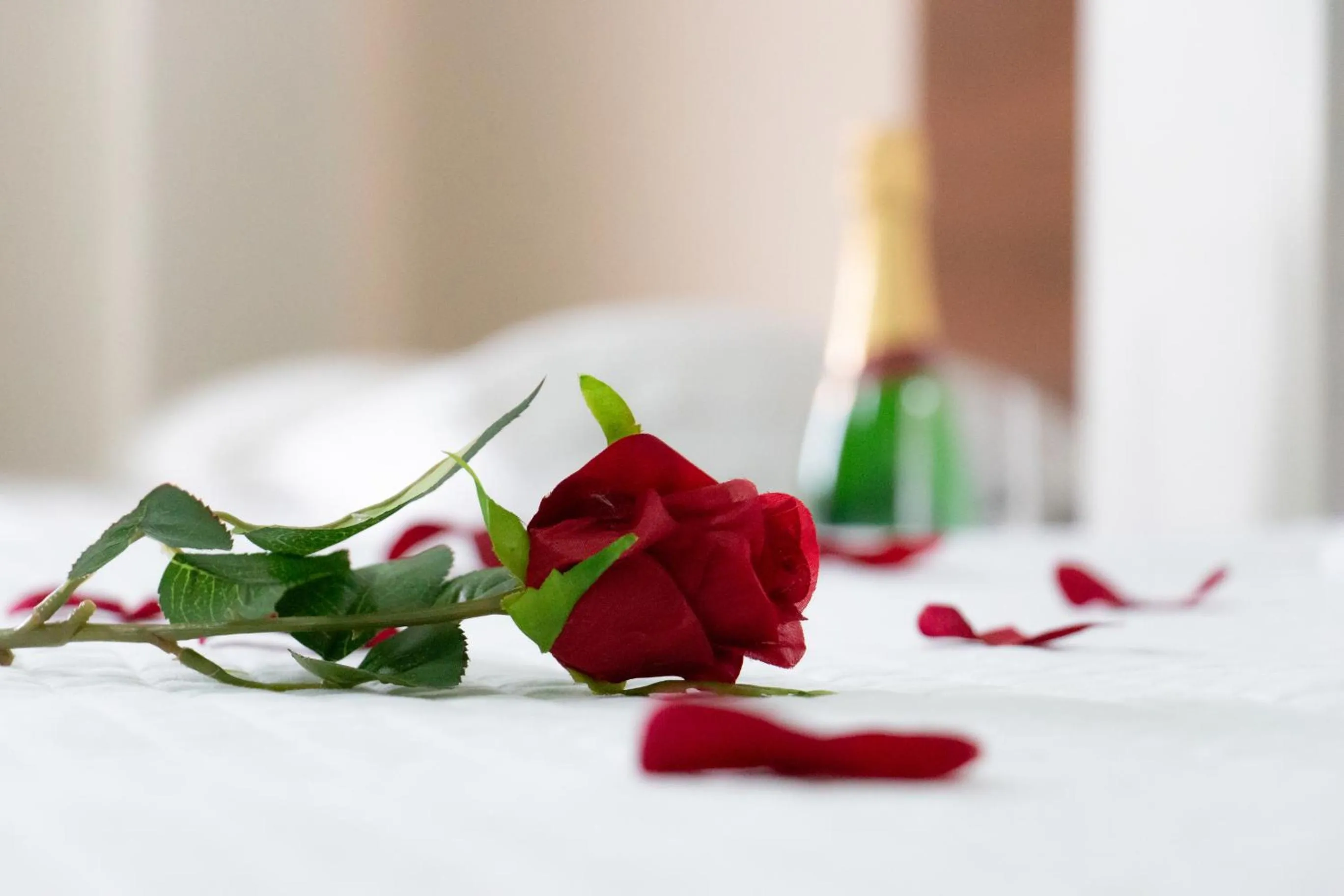 Bedroom in Contagem Centro Hotel