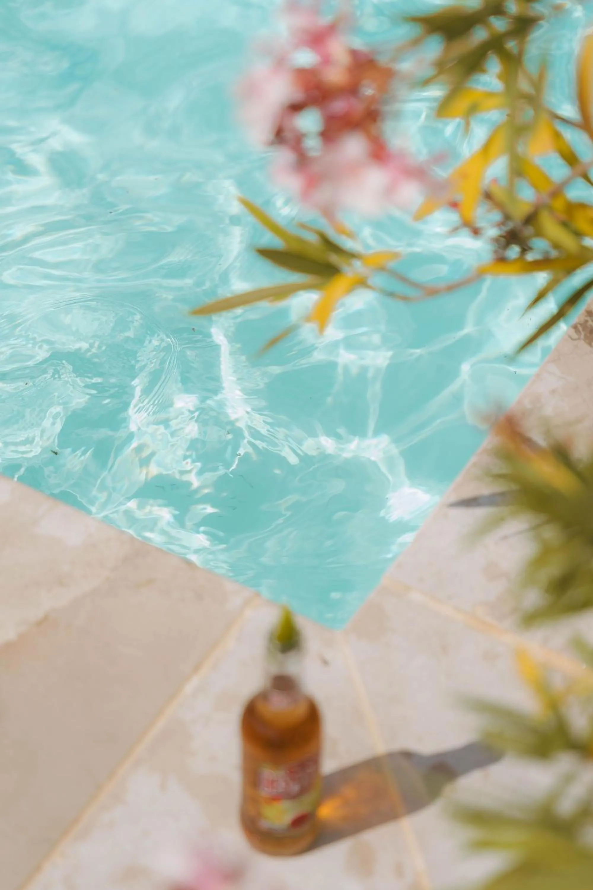 Le Domaine de la mer - Beach hotel Nature&Authenticité Hyères