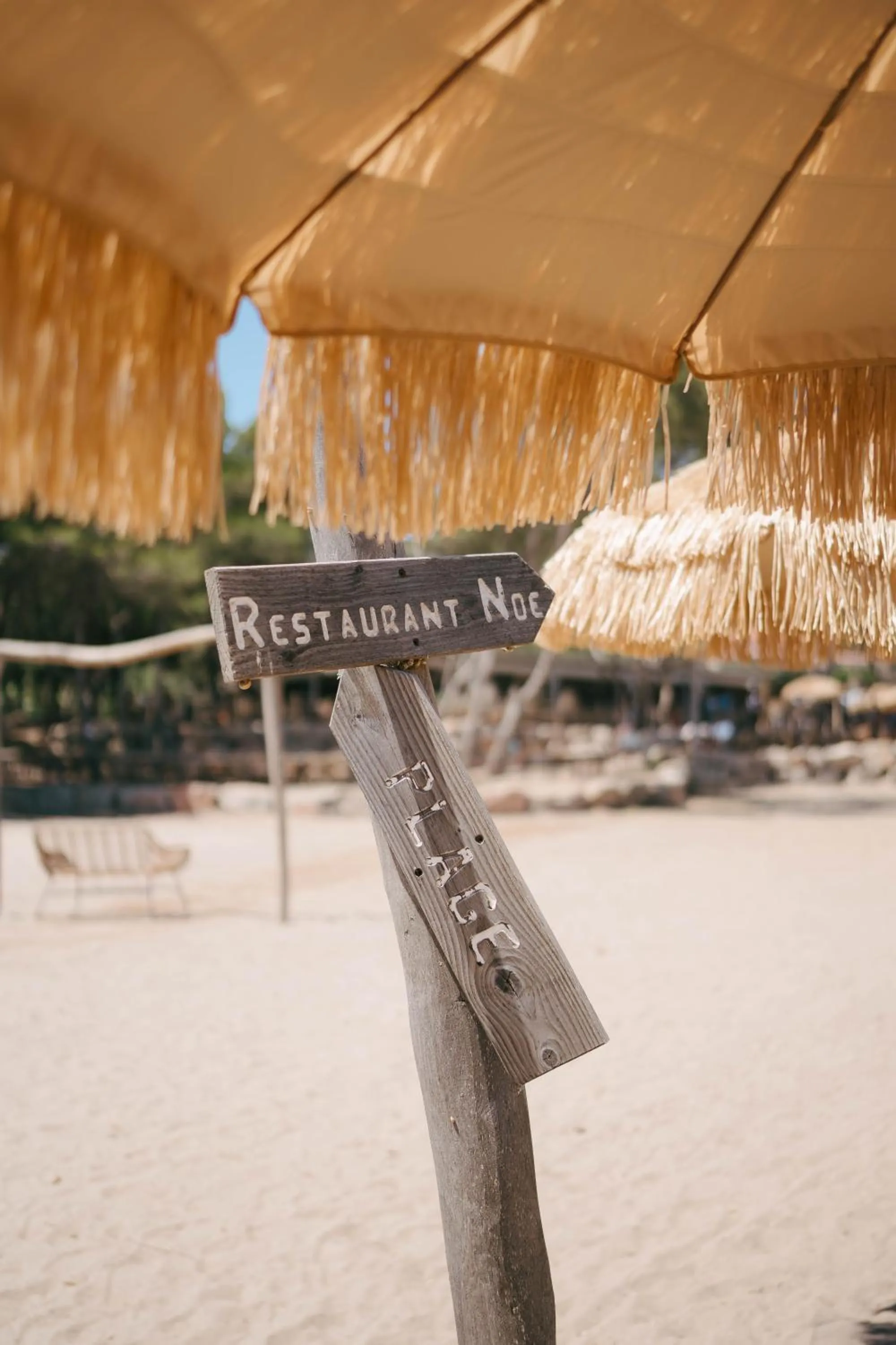 Restaurant/places to eat in Le Domaine de la mer - Beach hotel Nature&Authenticité Hyères