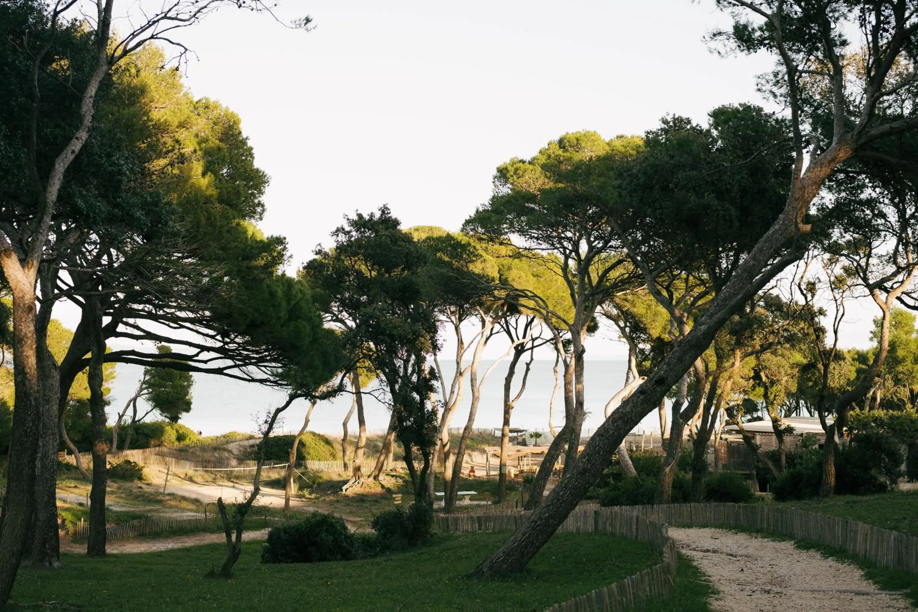 Natural landscape in Le Domaine de la mer - Beach hotel Nature&Authenticité Hyères
