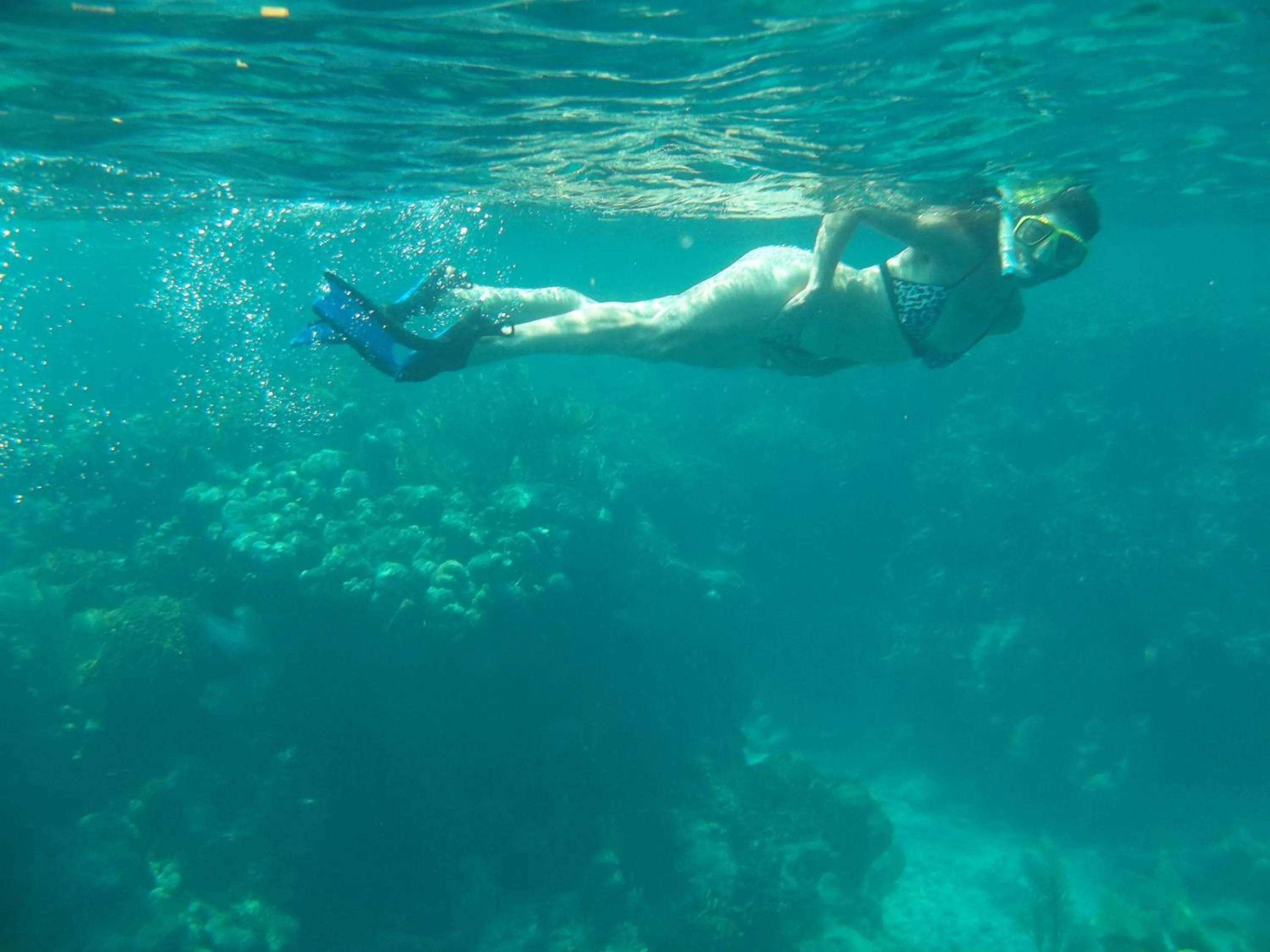 Snorkeling in Apartments Chez Milady