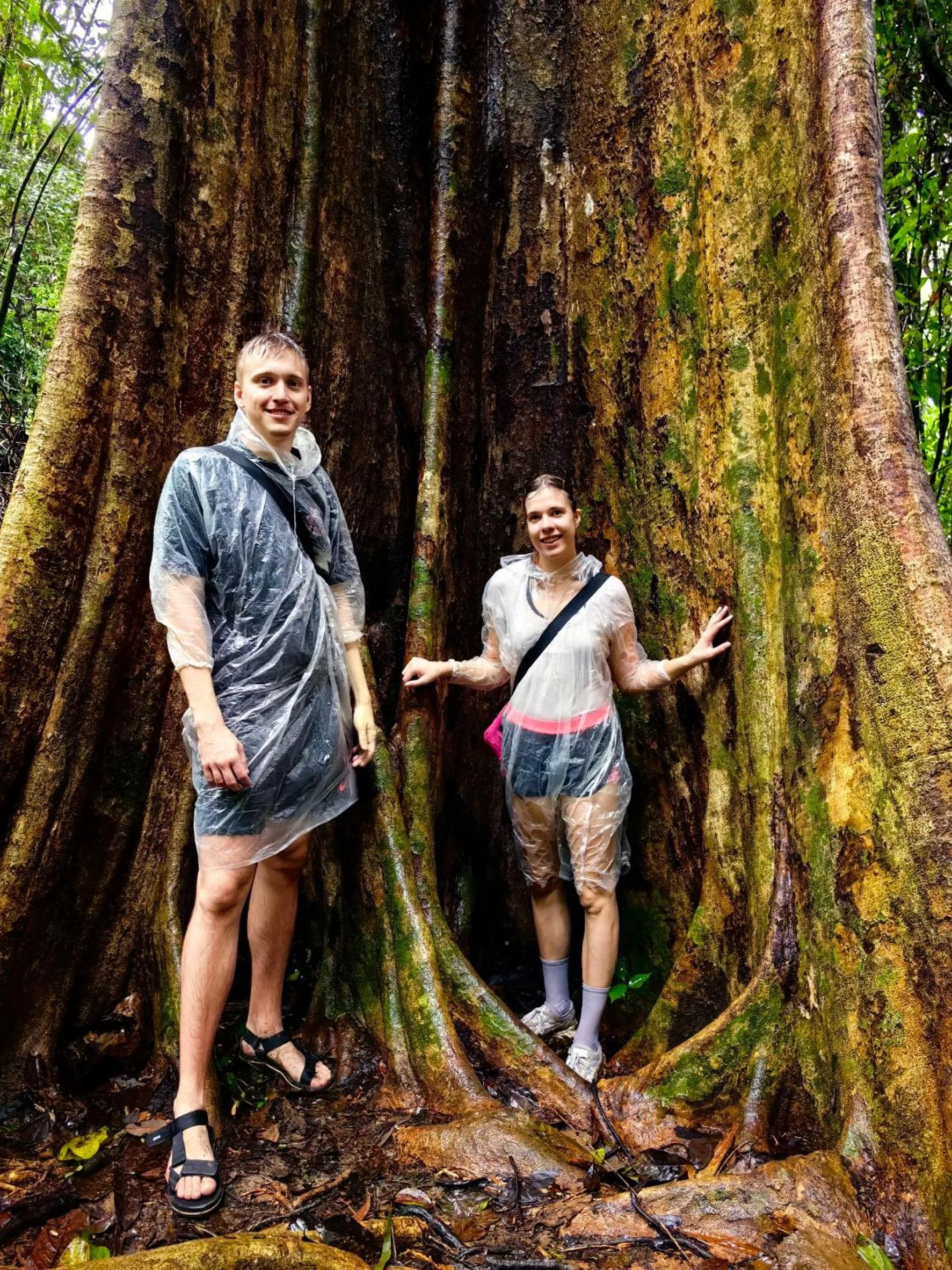 Activities in Khao Sok Country Resort