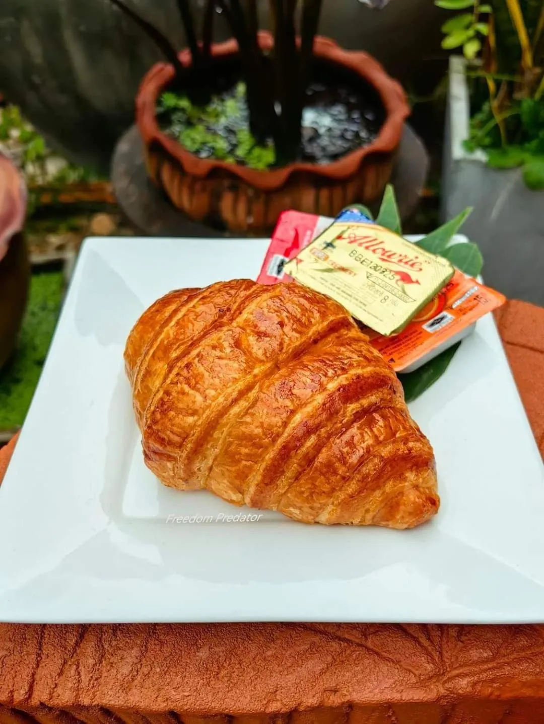 Food and drinks in Khao Sok Country Resort