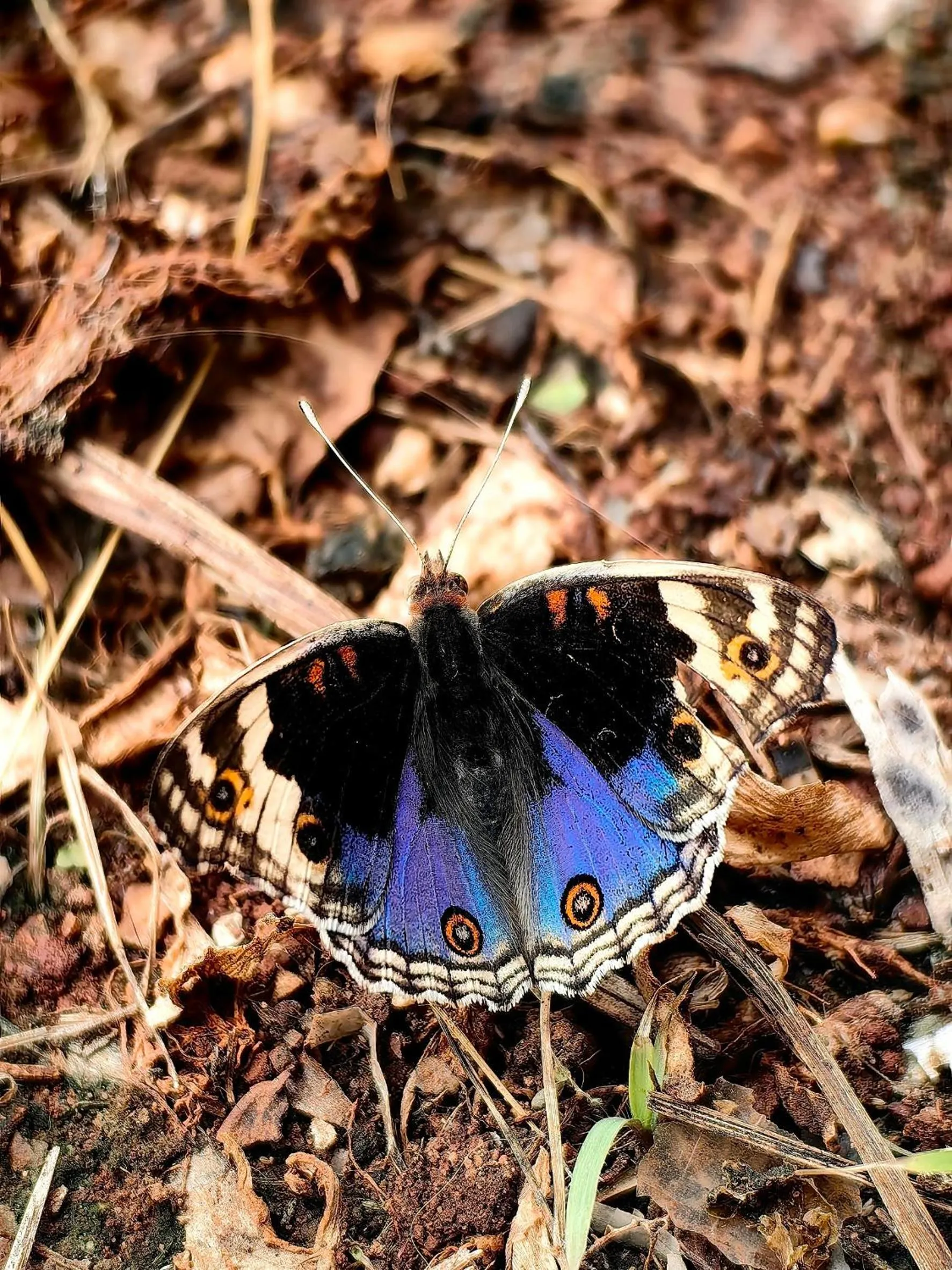 Activities in Khao Sok Country Resort