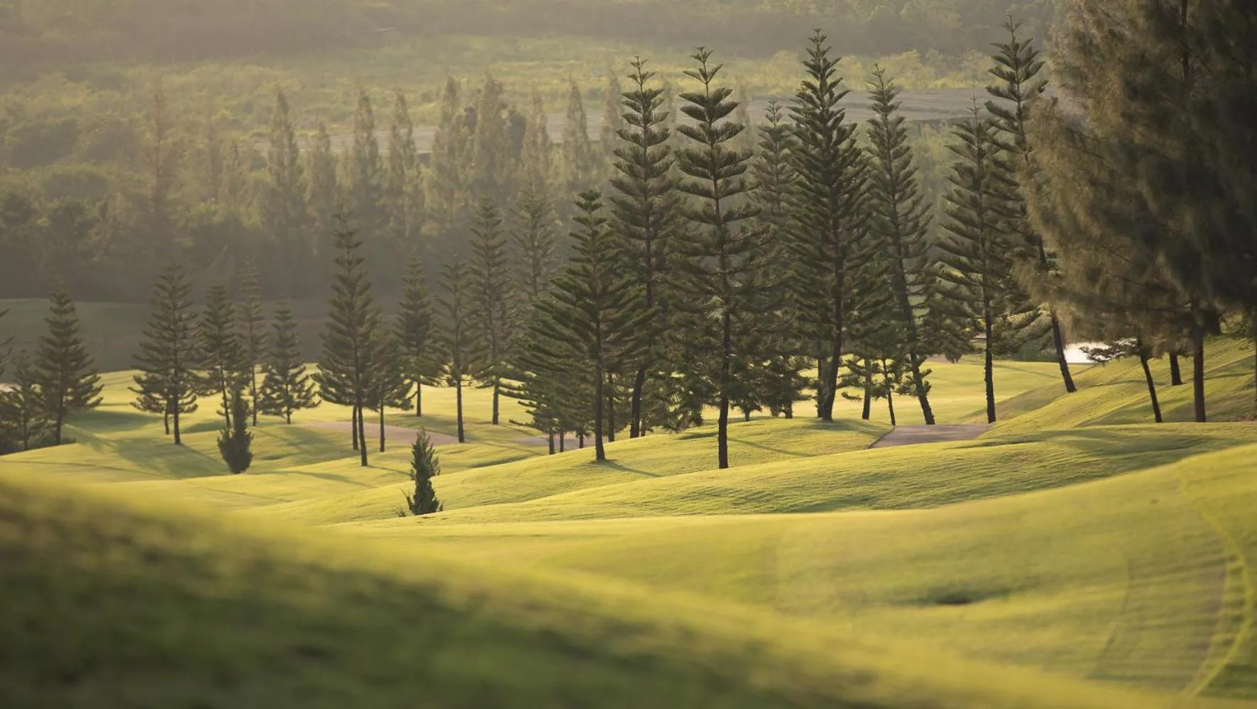 Garden in Toscana Town Square Suites