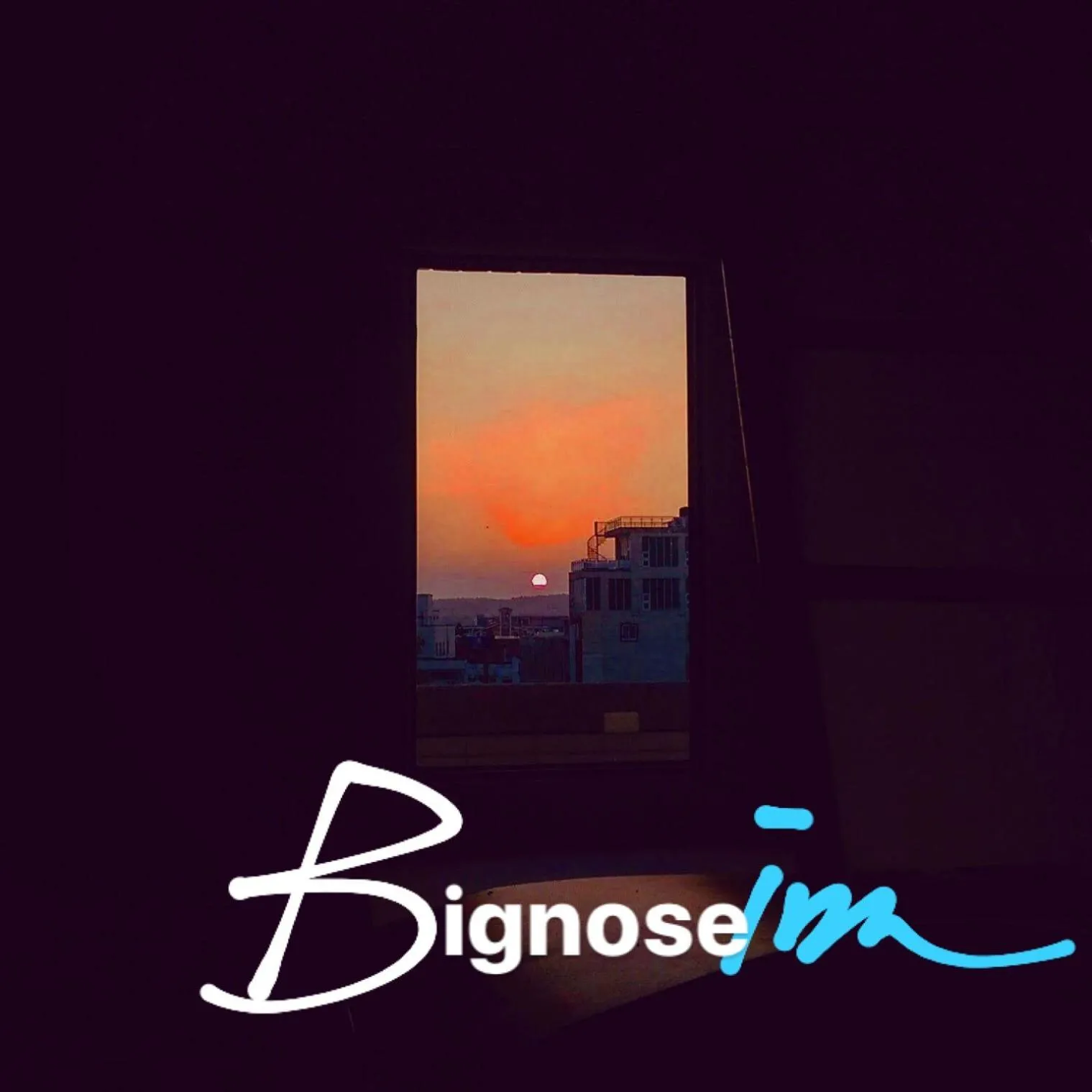 Big Nose Inn