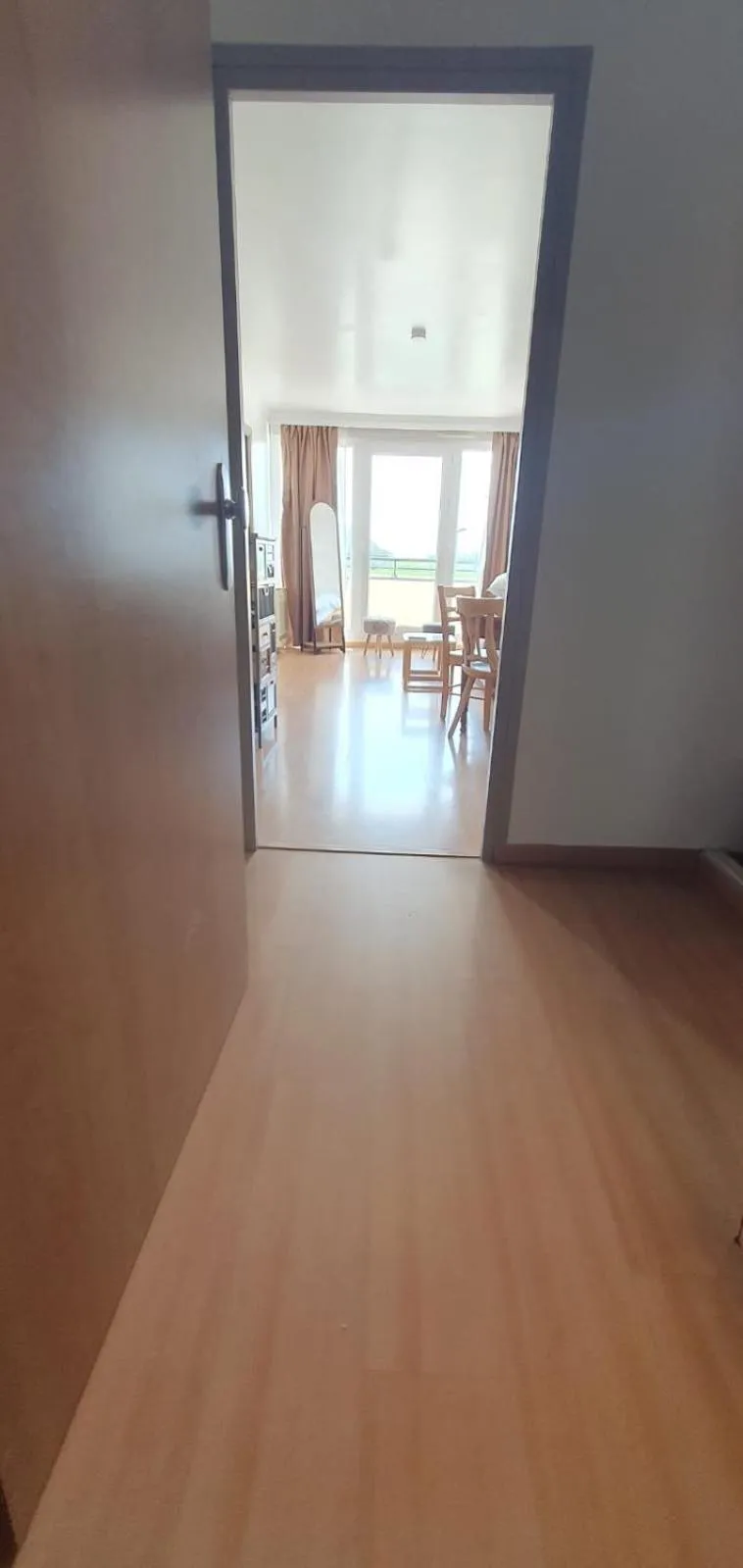 Appartement lumineux et cosy proche de Genève