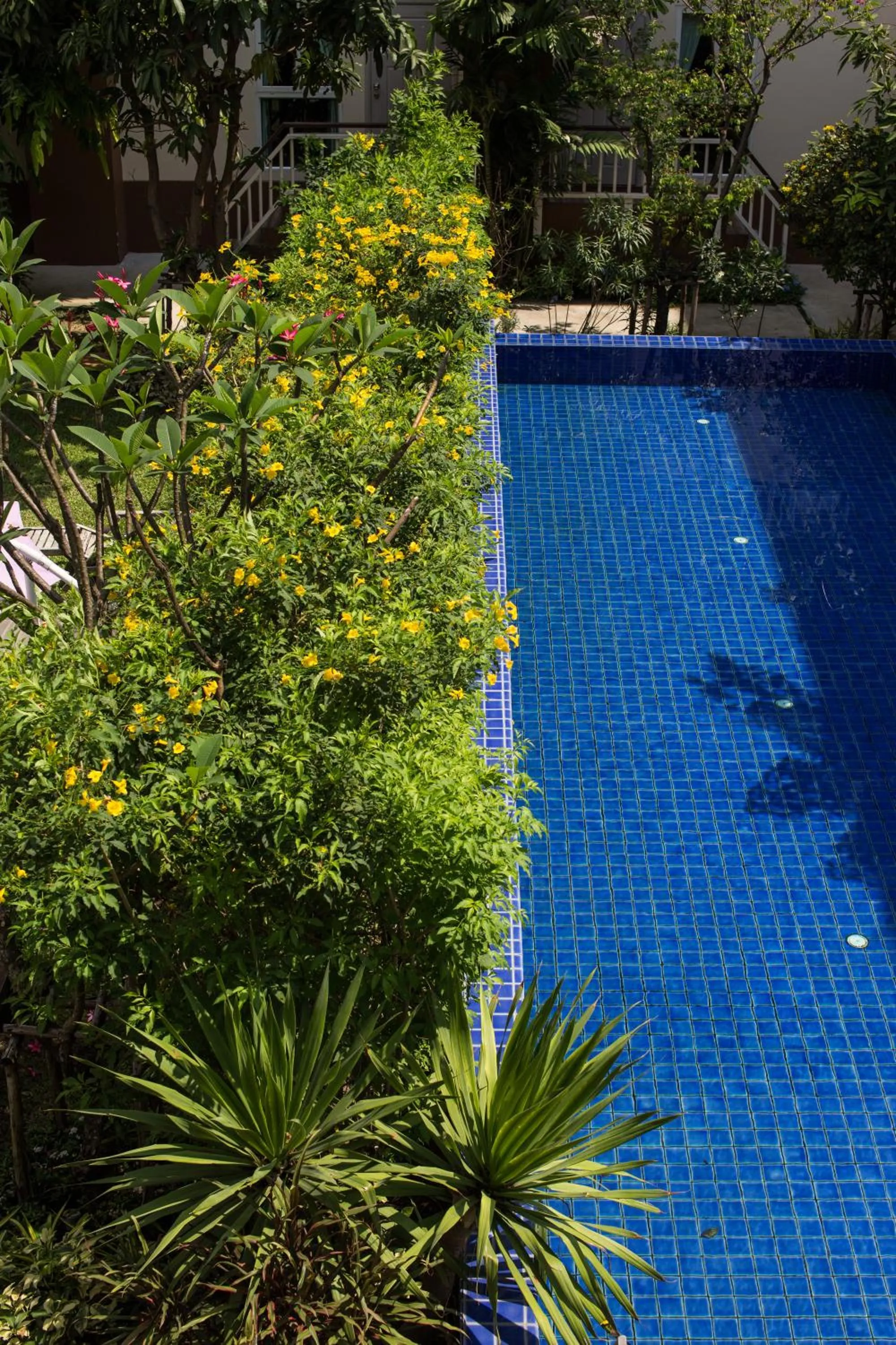Pool view in U Tiny Boutique Hotel Suvarnabhumi Bangkok - SHA Plus