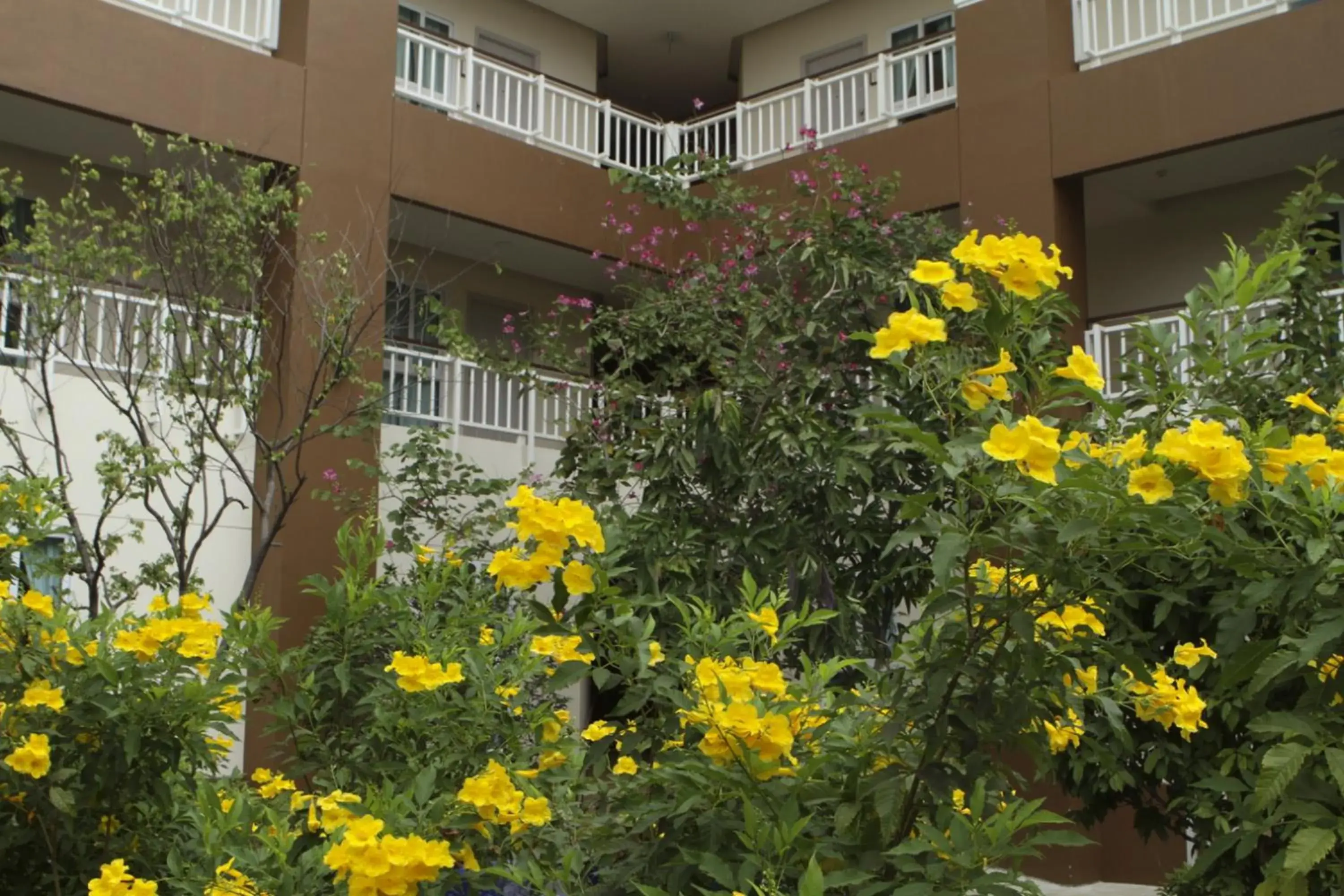 Garden view in U Tiny Boutique Hotel Suvarnabhumi Bangkok - SHA Plus Garden view in U Tiny Boutique Hotel Suvarnabhumi Bangkok - SHA Plus