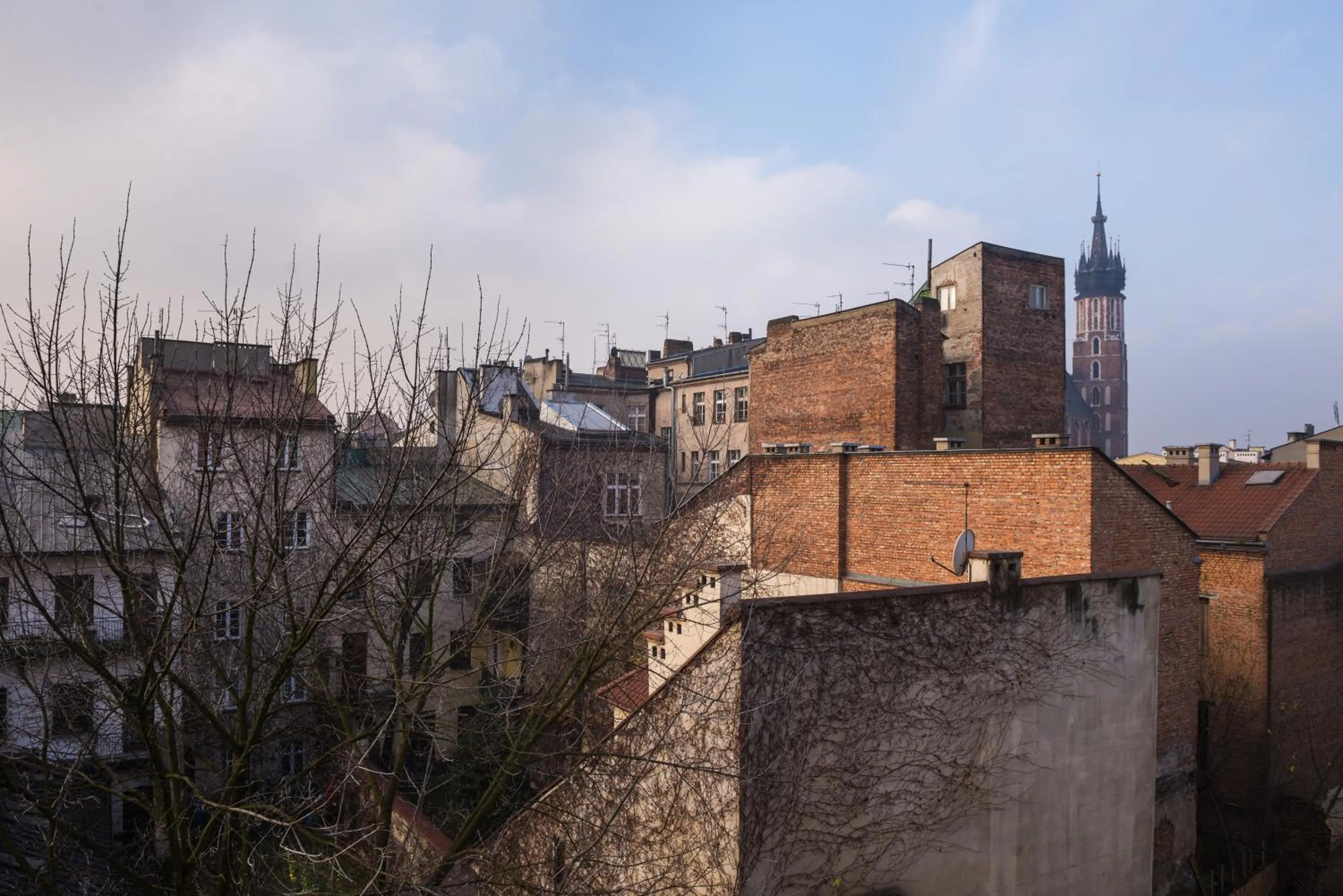 View (from property/room) in NOVUMHOUSE - Tomasza