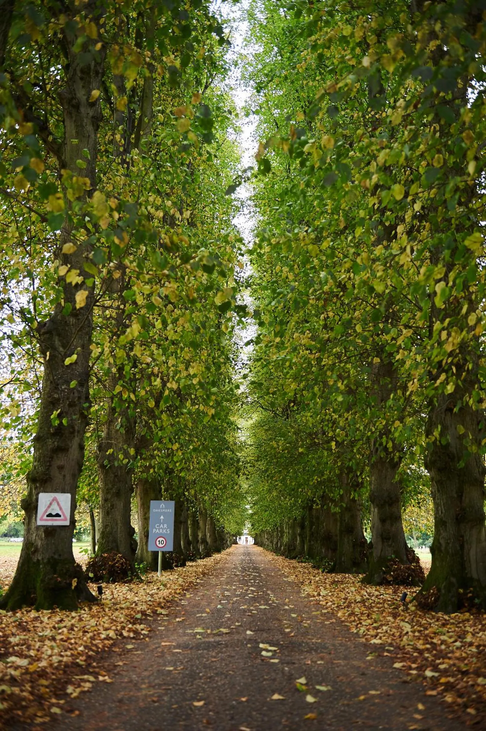 Property building in The Oaksmere