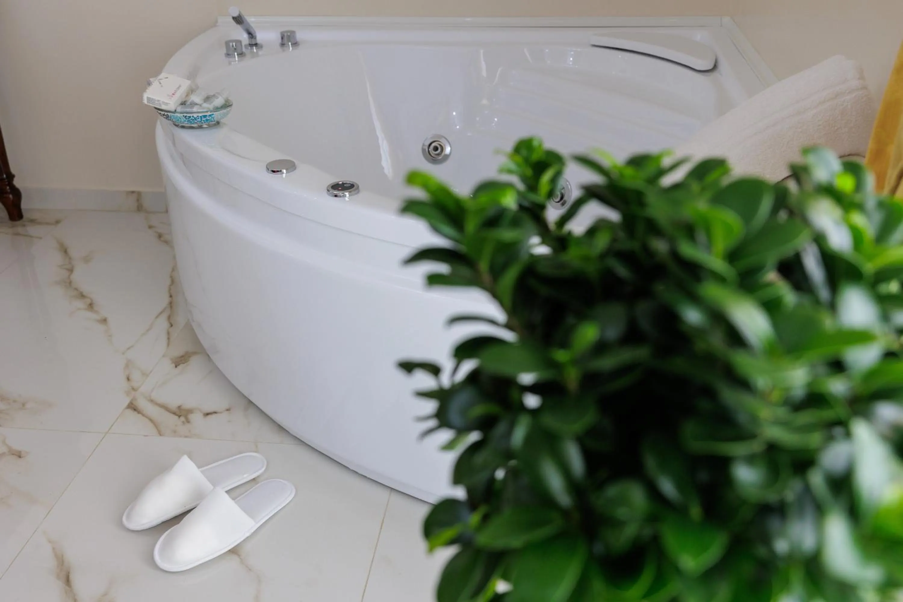 Hot Tub in REDDIMUS Guest House