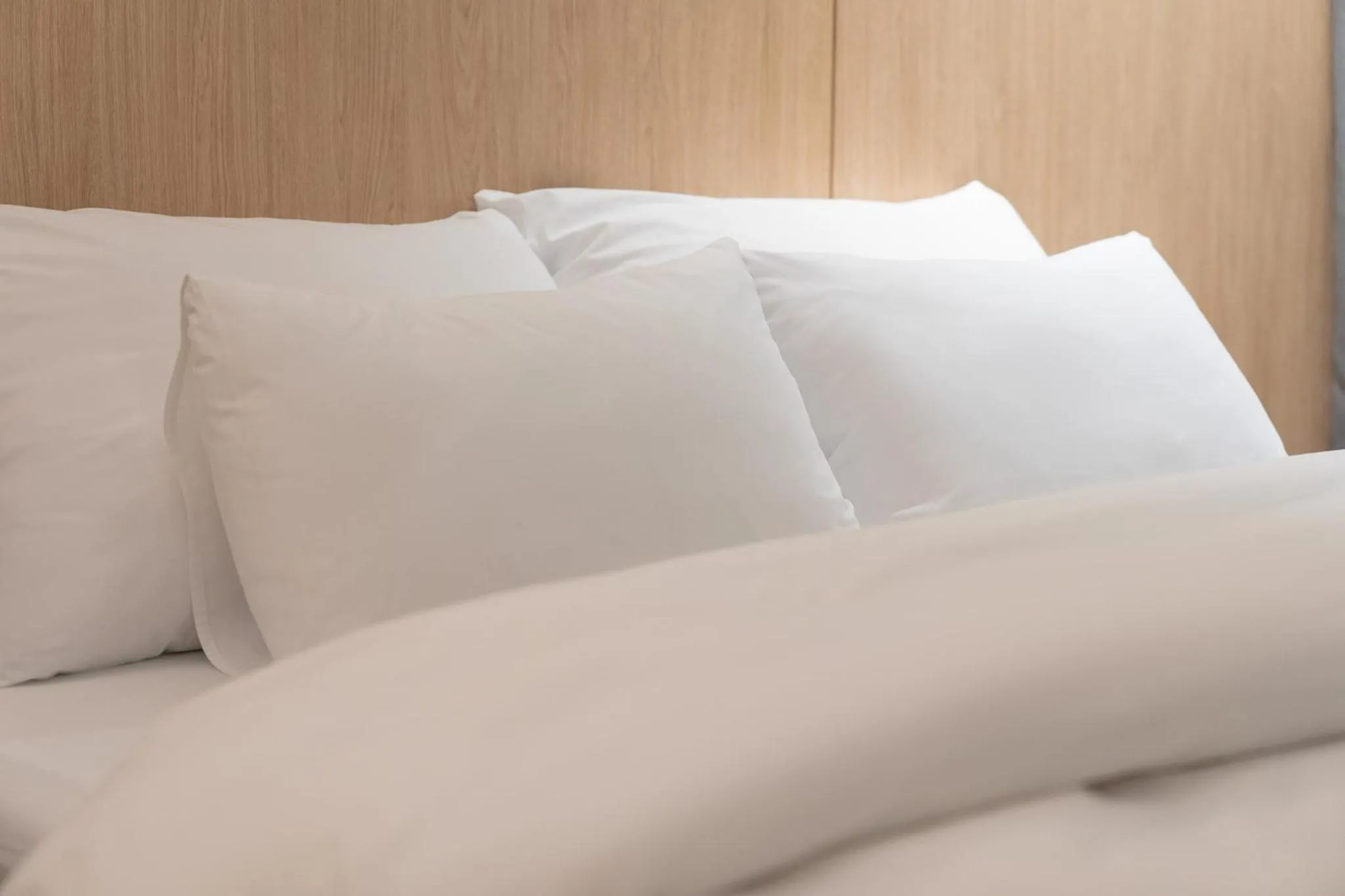 Bed in Siheung Brown Dot Jeongwang