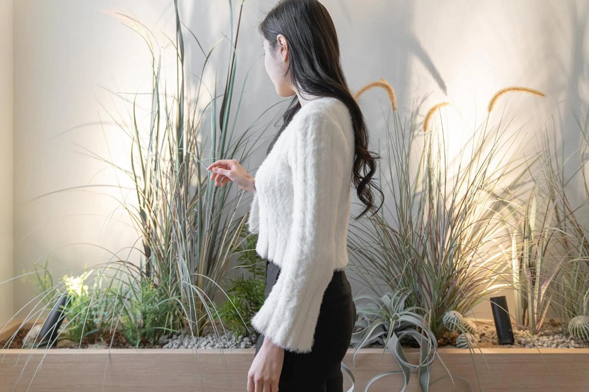 Guests in Siheung Brown Dot Jeongwang