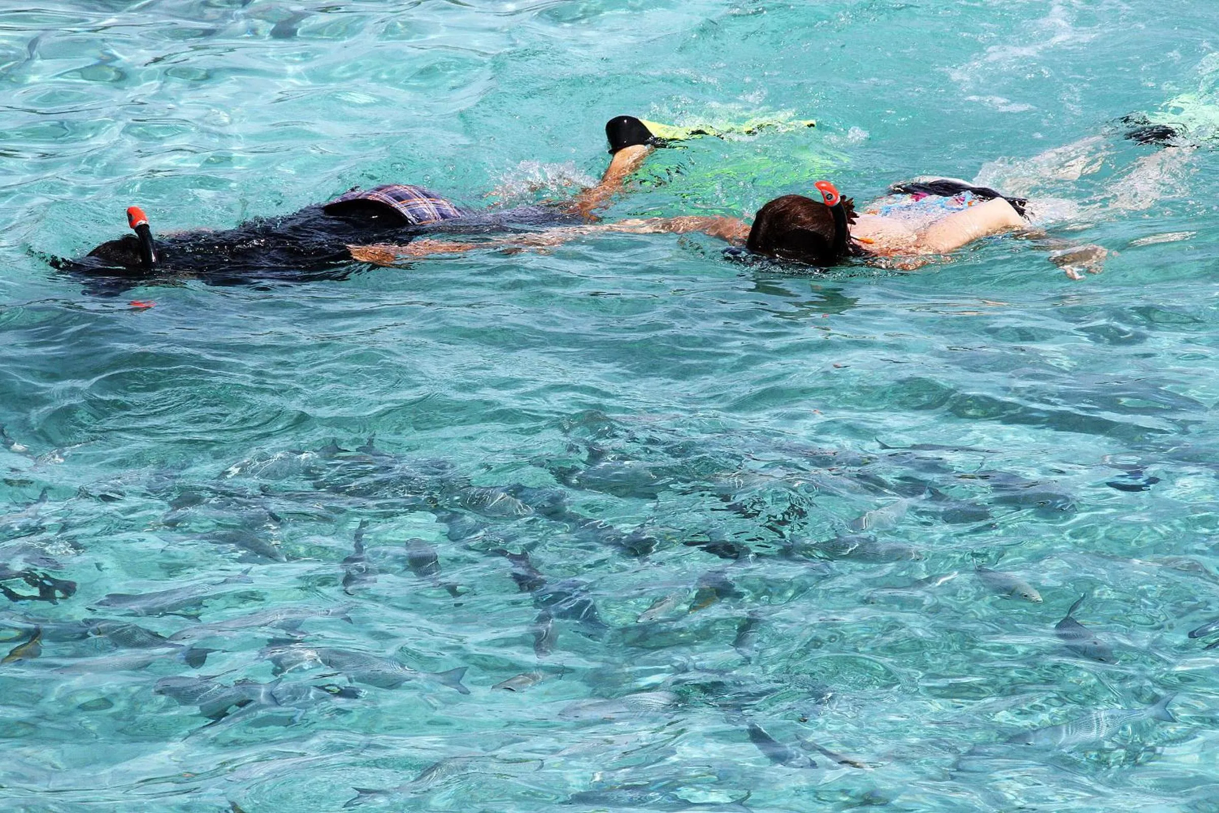 People in Tropic Tree Maldives