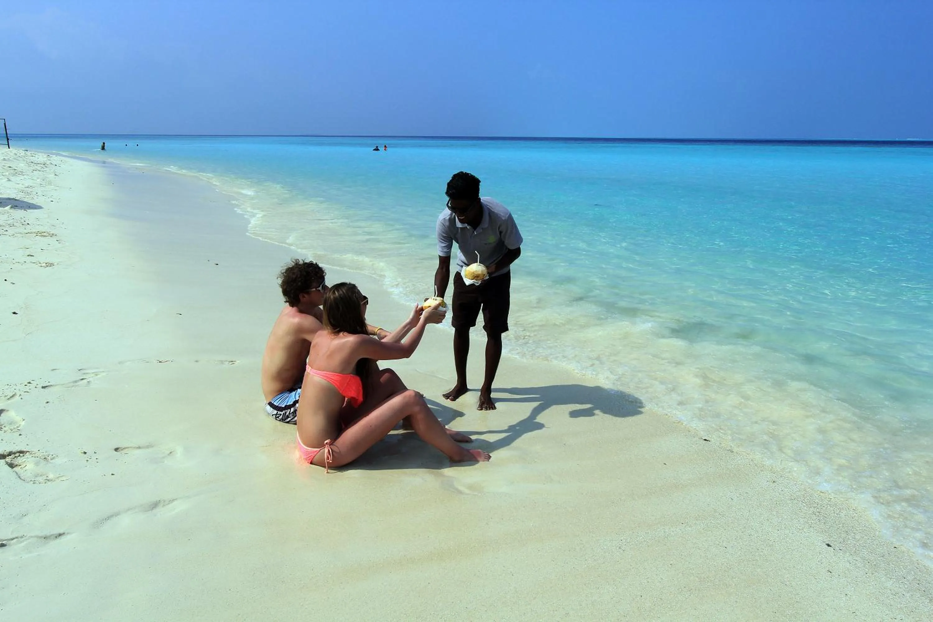 Beach in Tropic Tree Maldives
