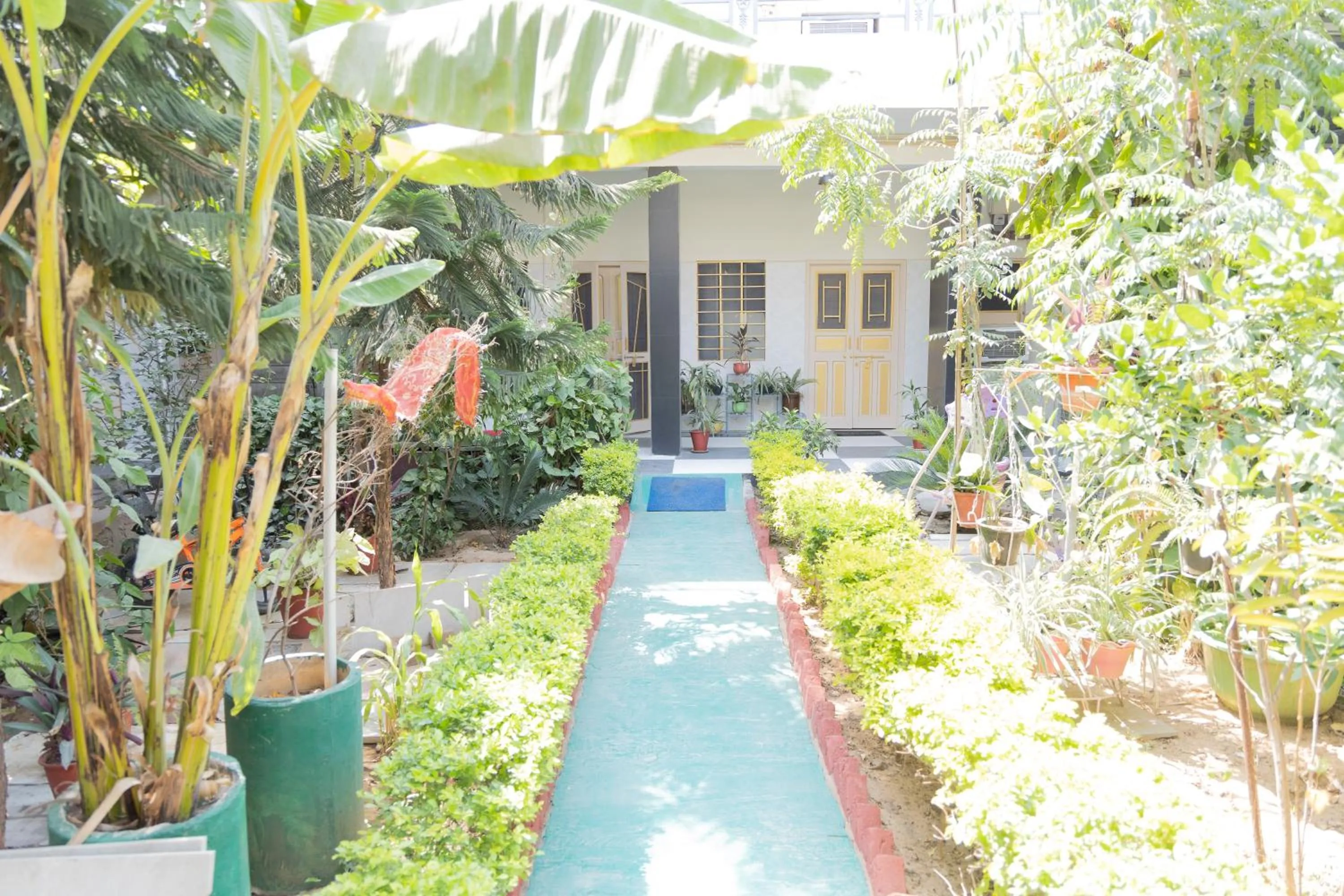 Garden view in Homestay Urmil Basant