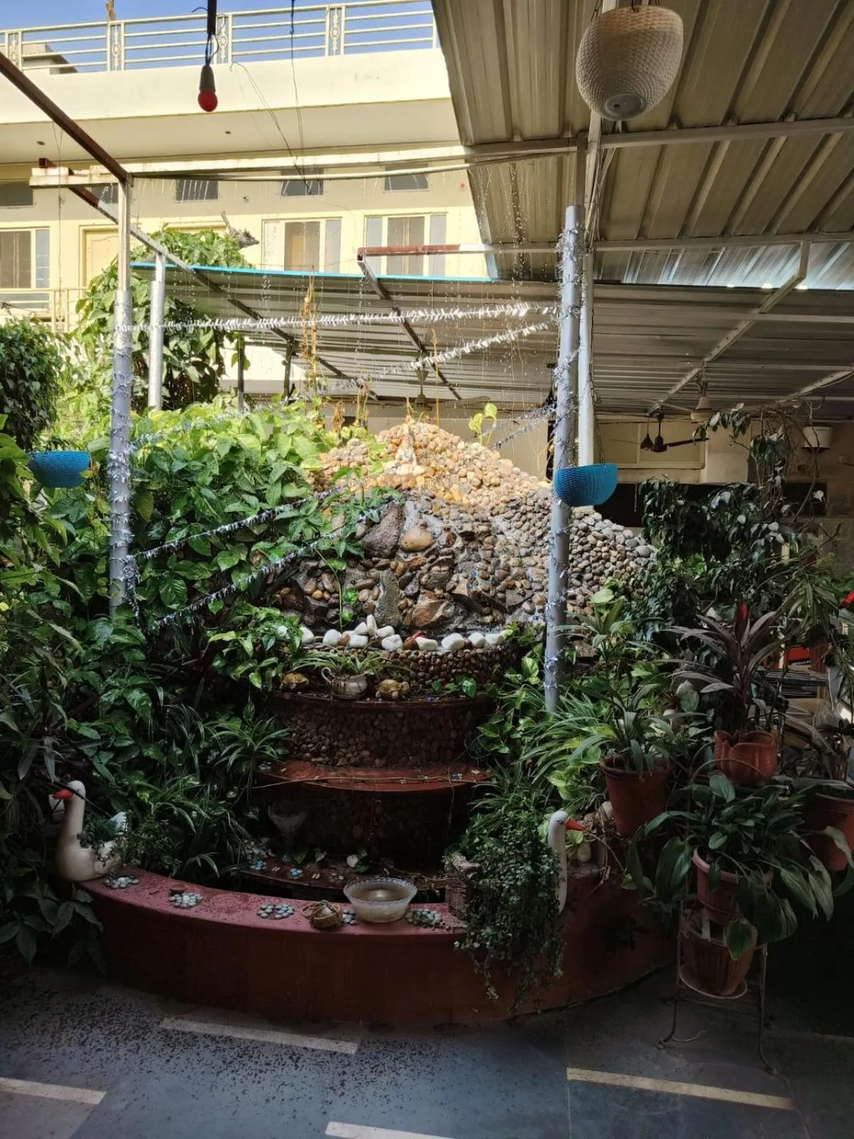 Garden in Homestay Urmil Basant