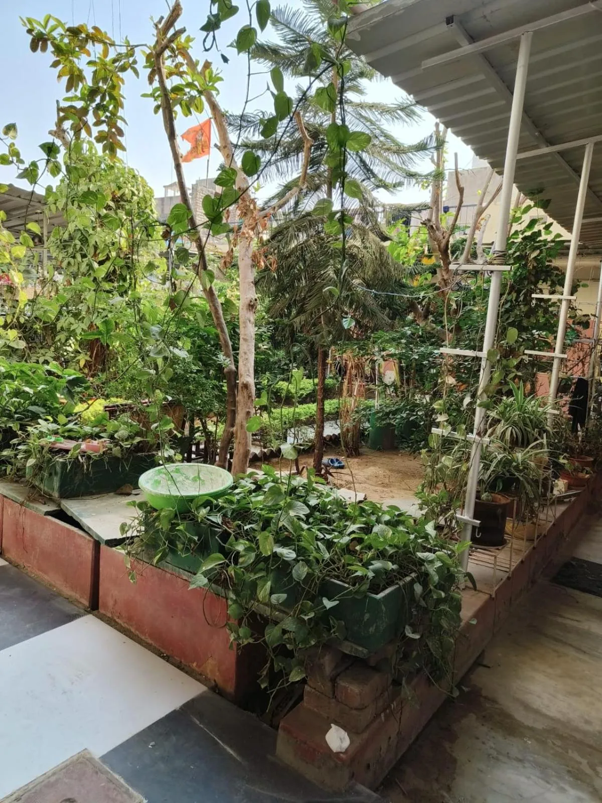 Spring in Homestay Urmil Basant