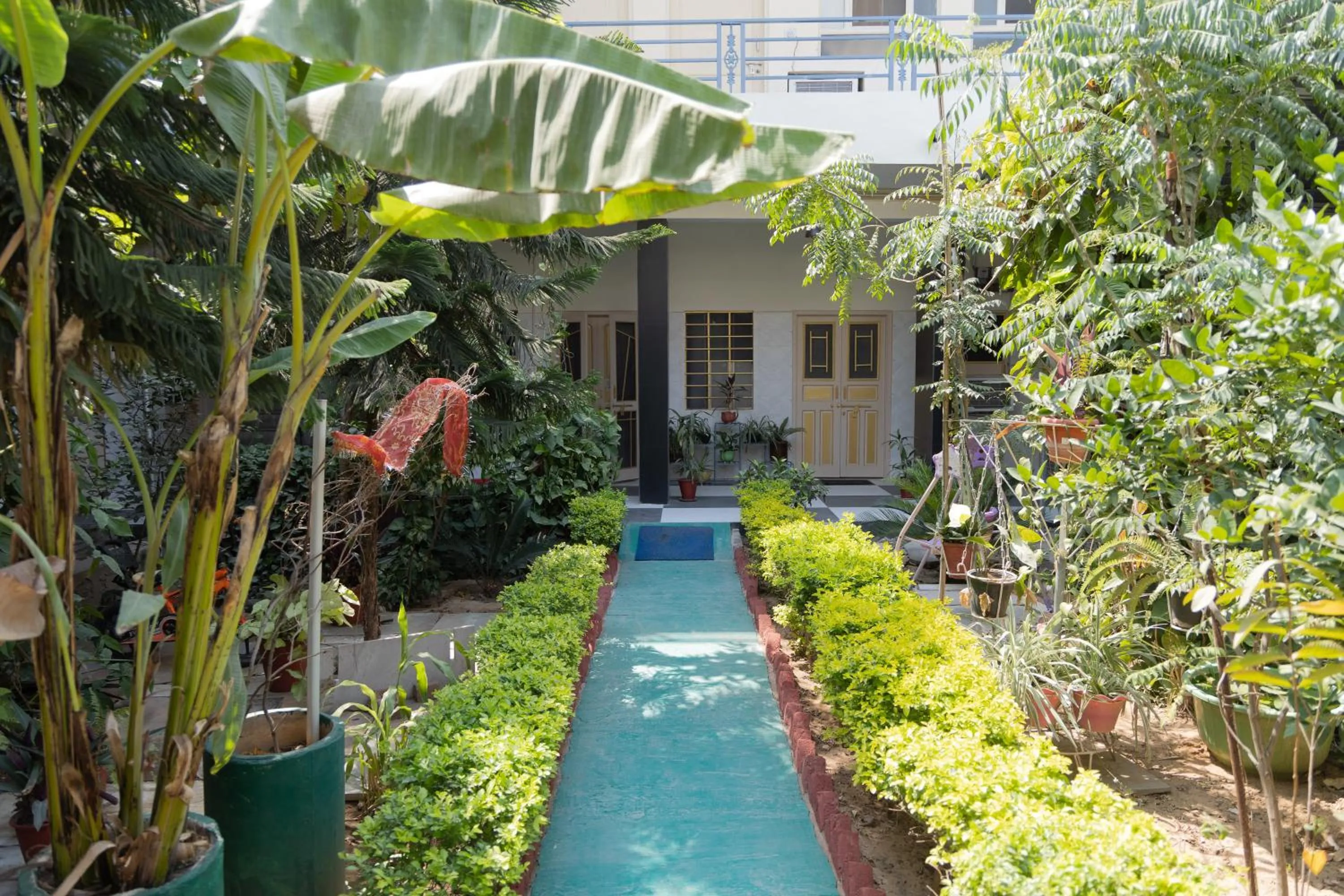 Garden view in Homestay Urmil Basant